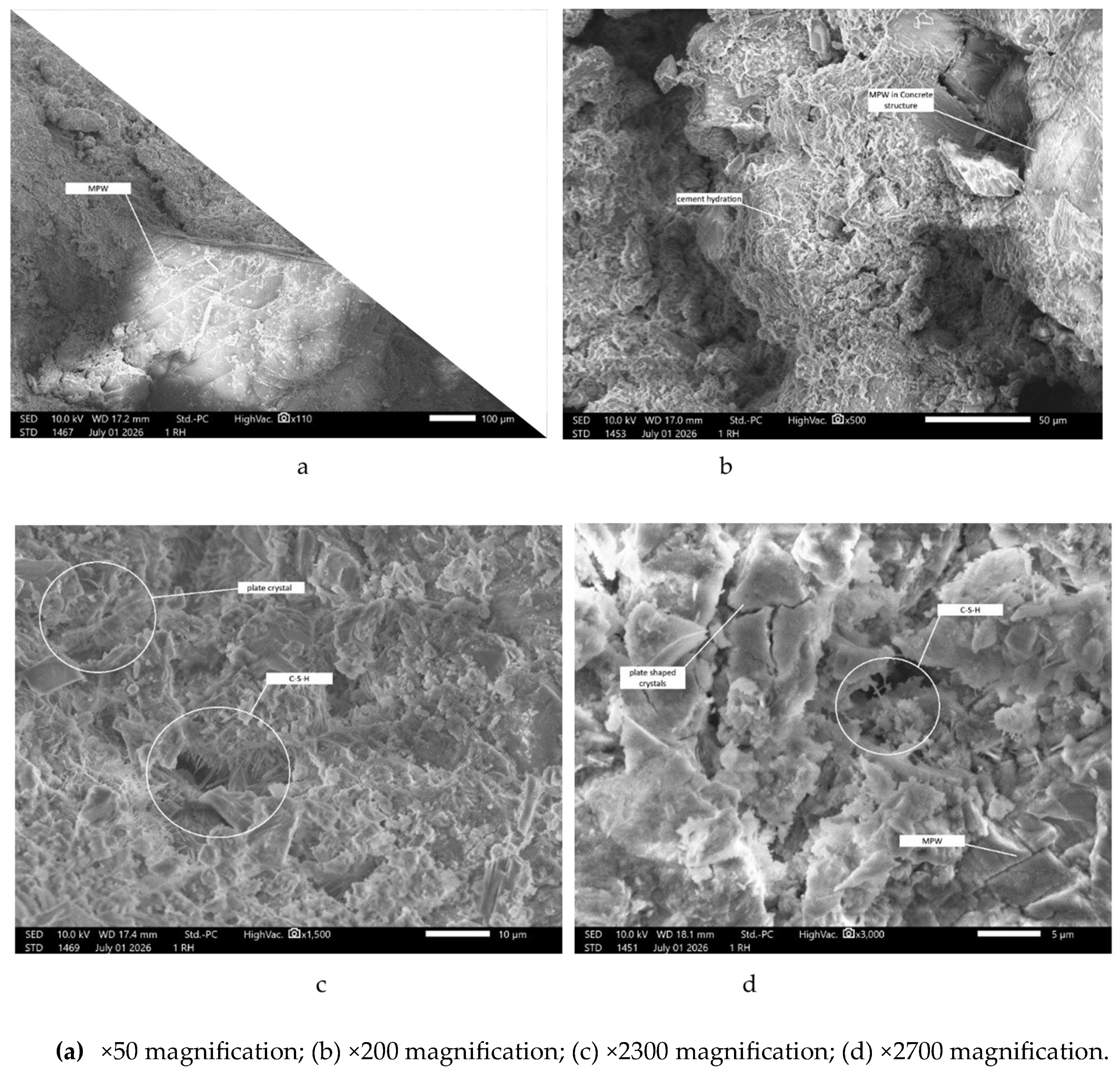 Preprints 227848 g005