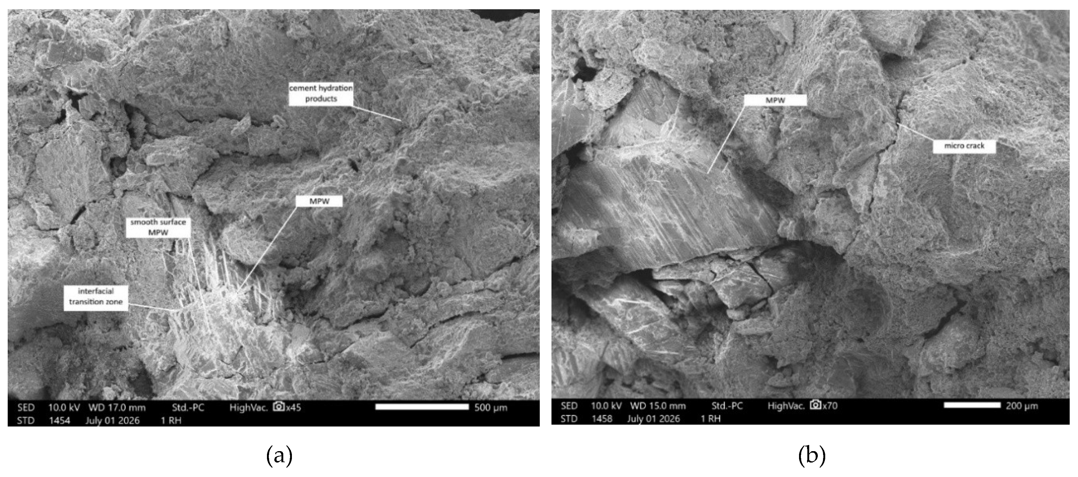 Preprints 227848 g008a