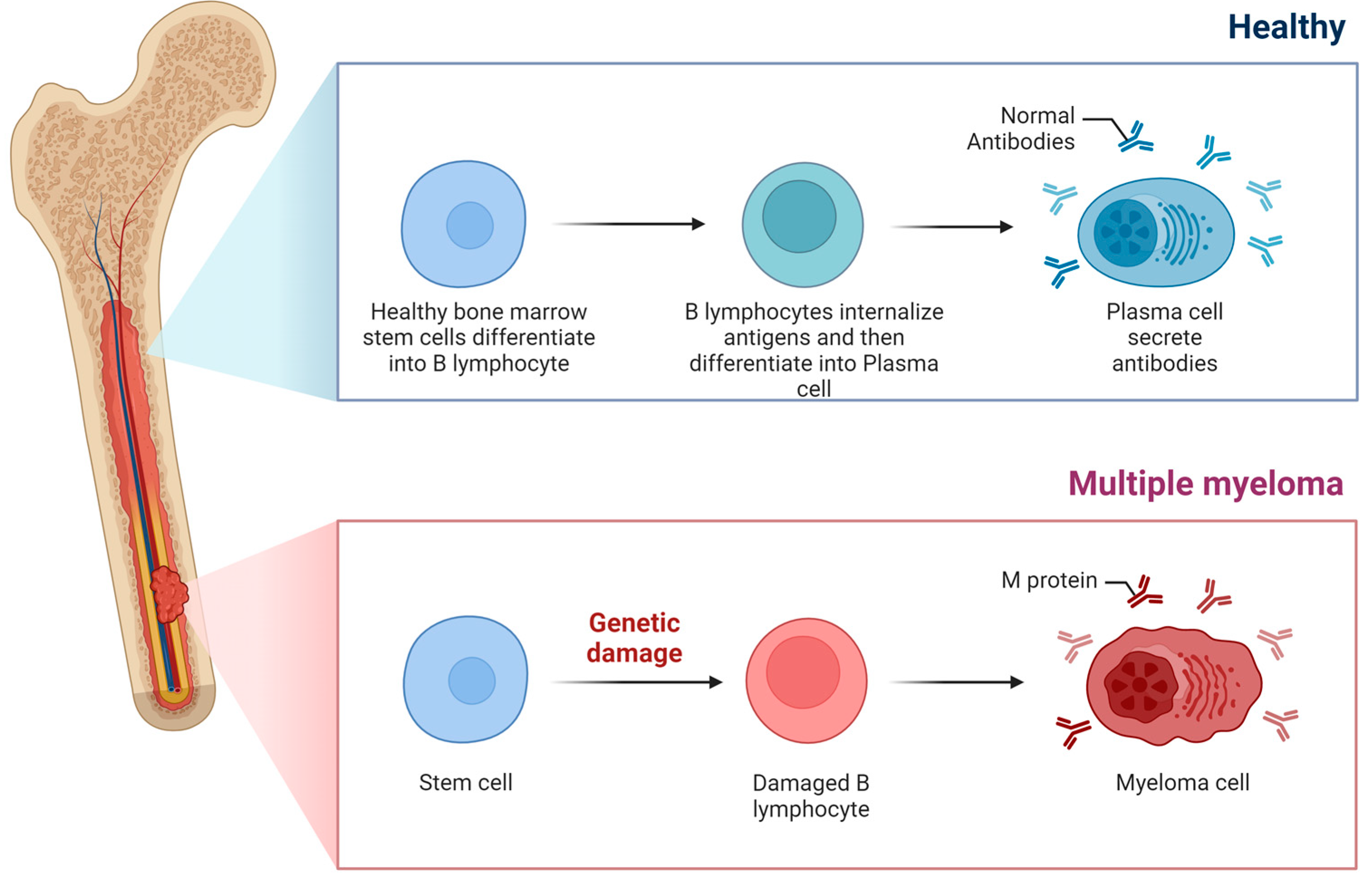 Preprints 145820 g001