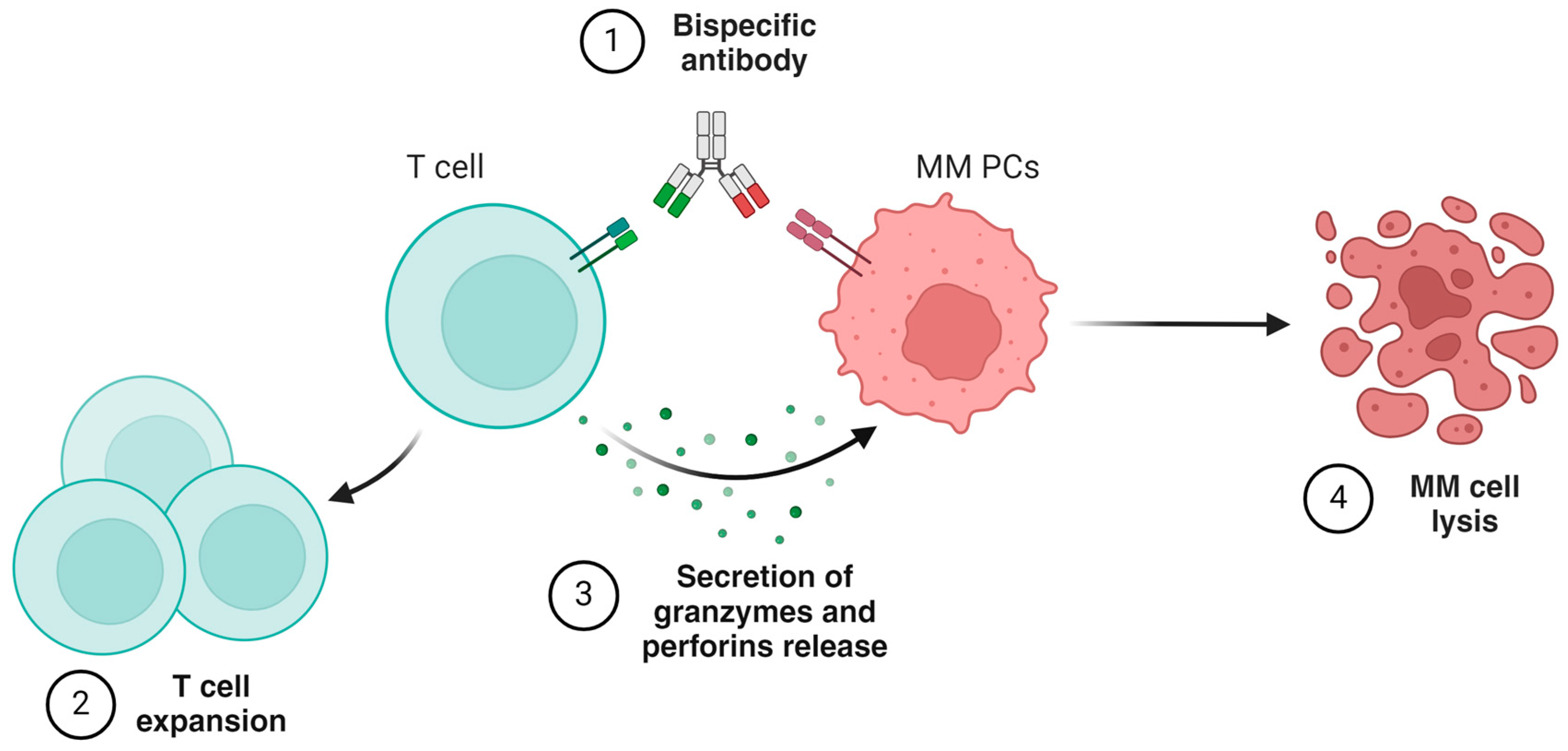 Preprints 145820 g002