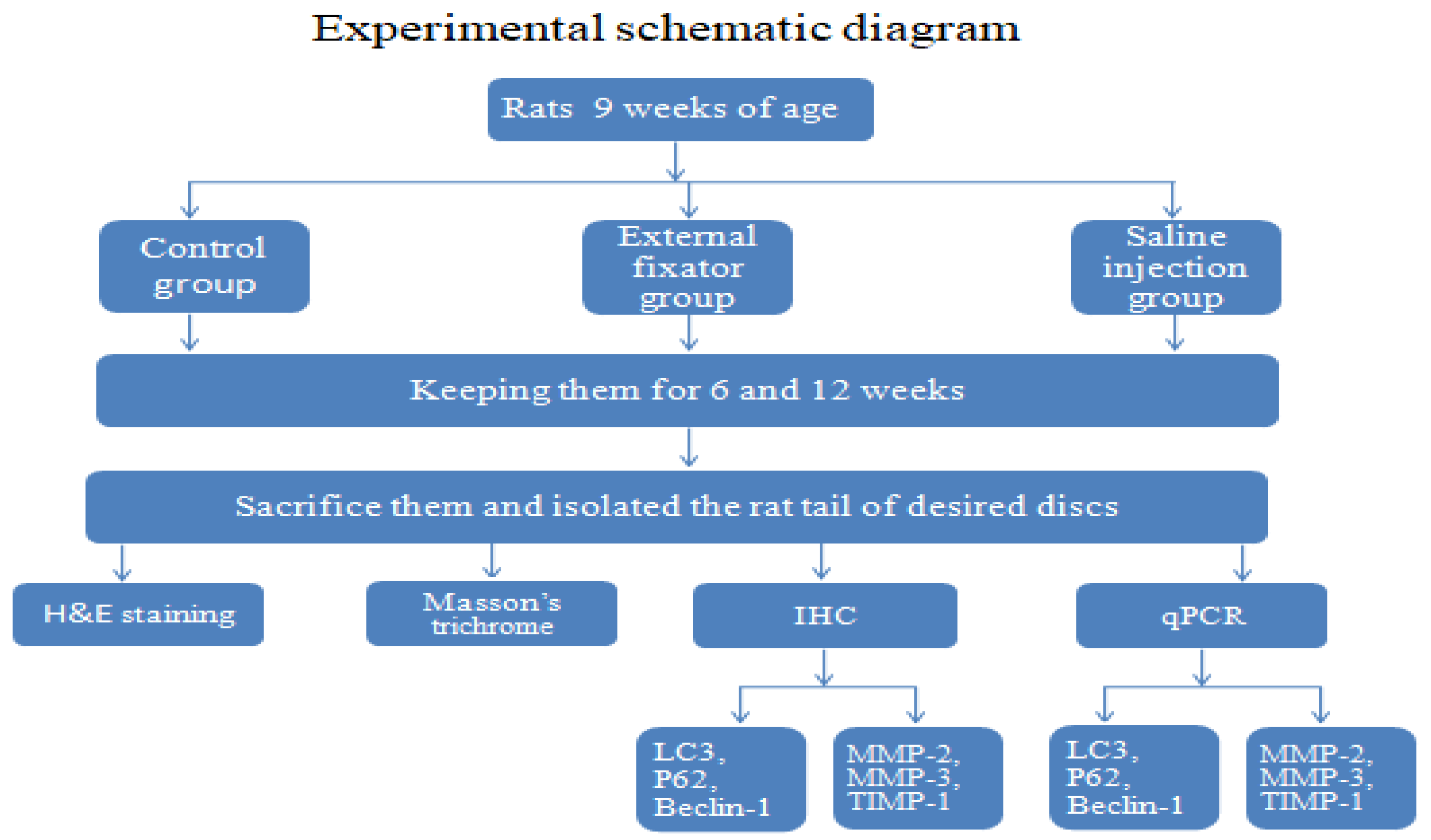 Preprints 67434 g001