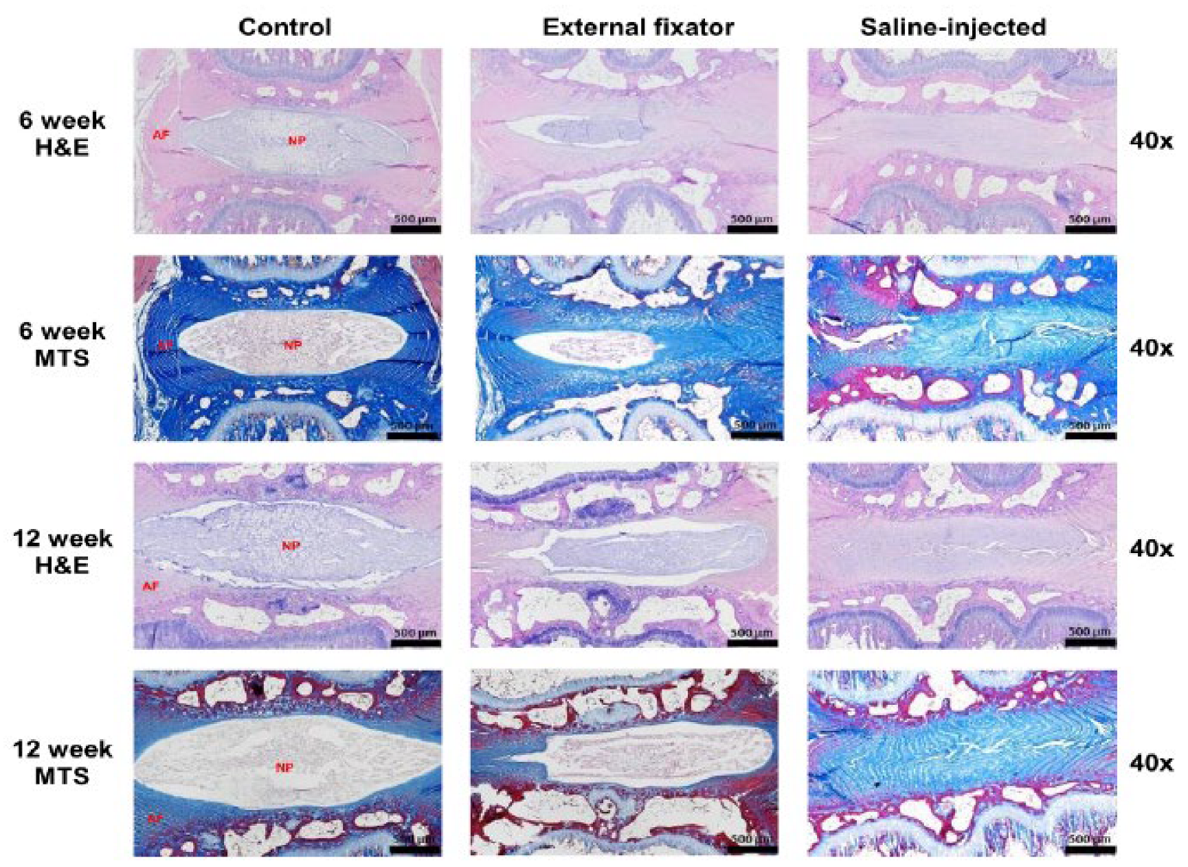 Preprints 67434 g002
