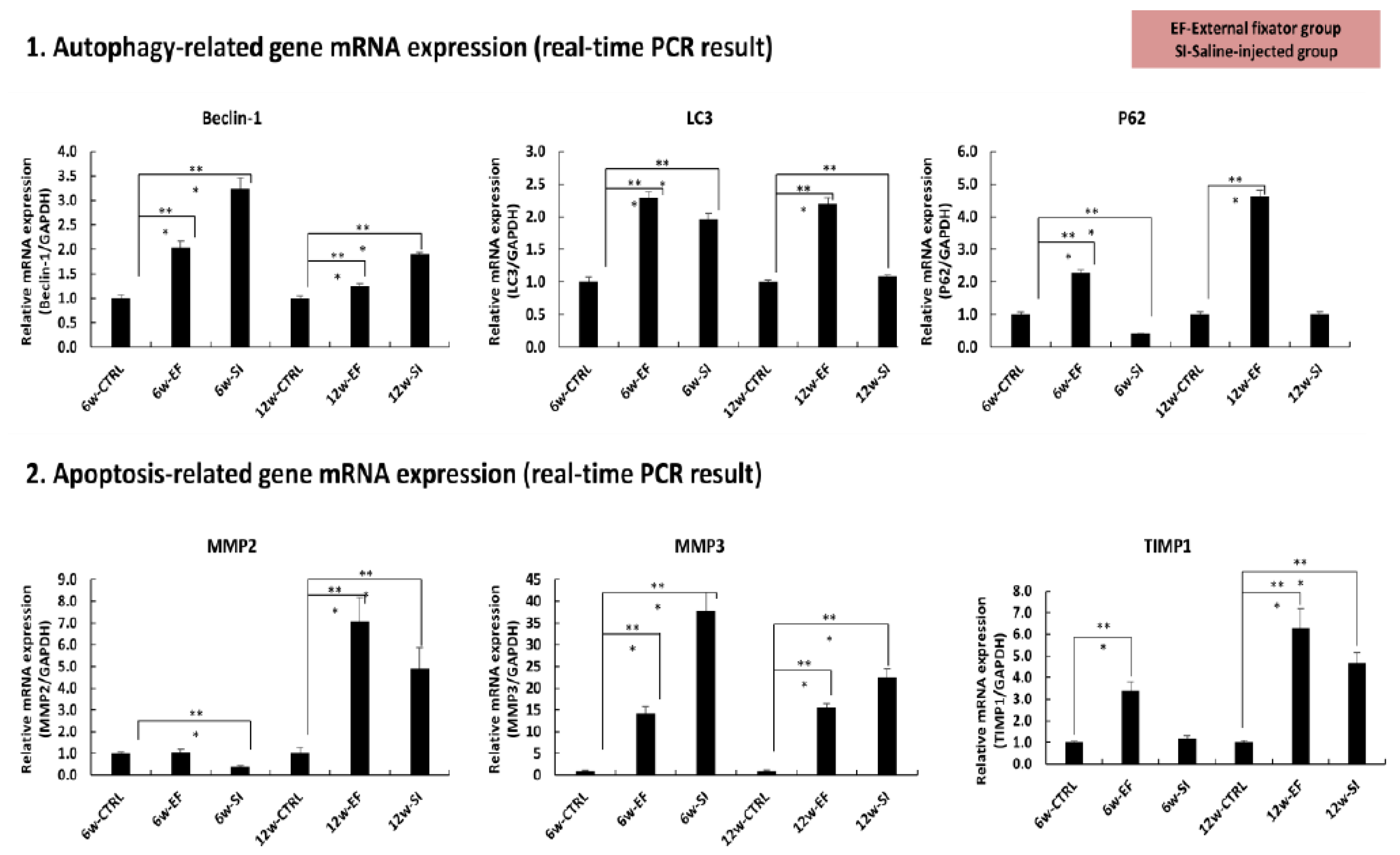 Preprints 67434 g004