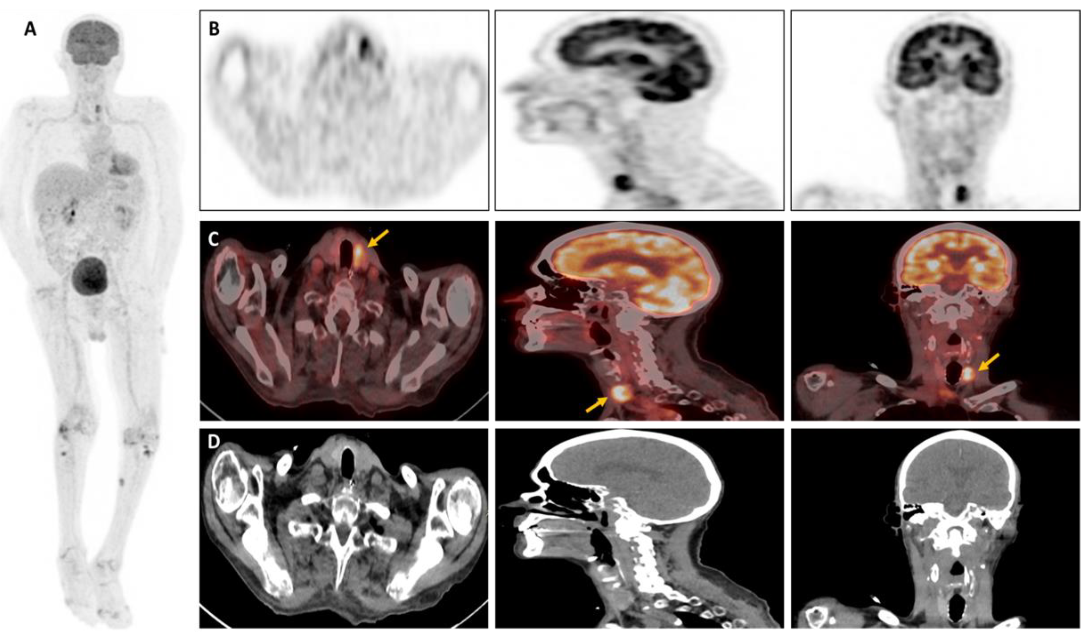 Preprints 108795 g001