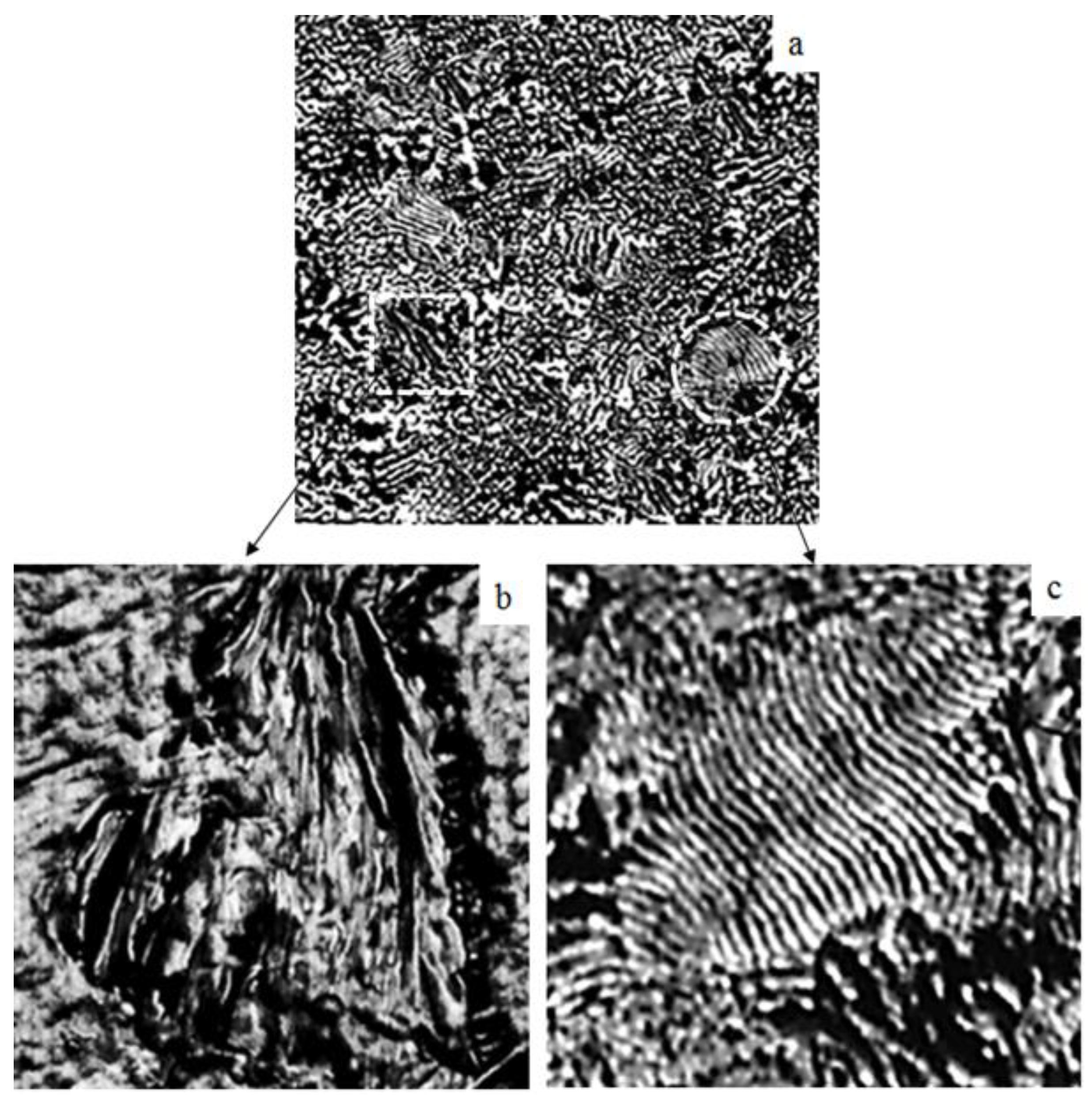 Preprints 189900 g001