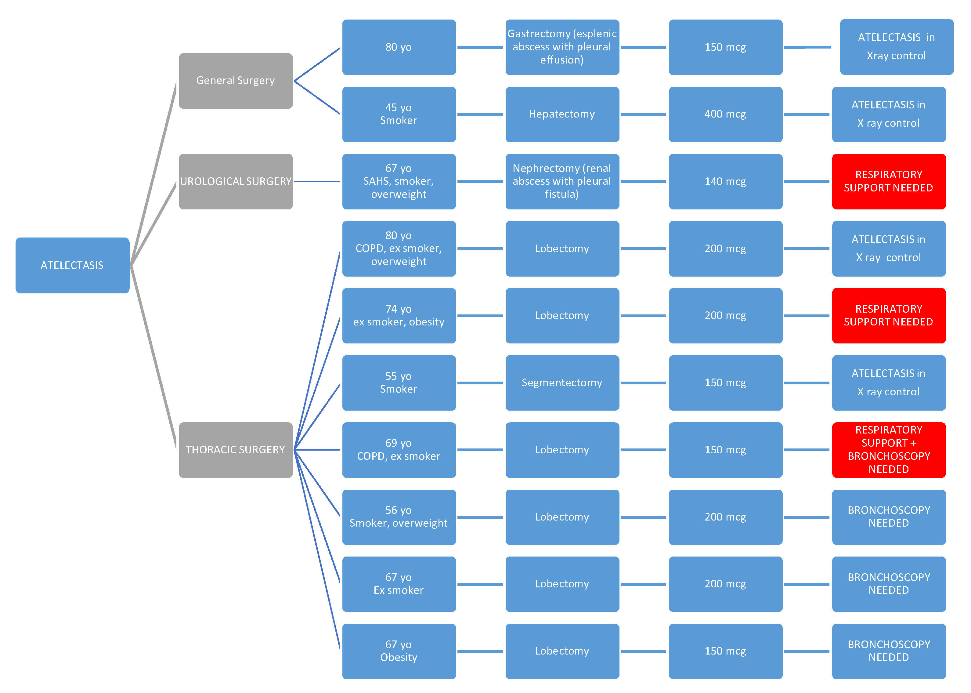 Preprints 147823 g002