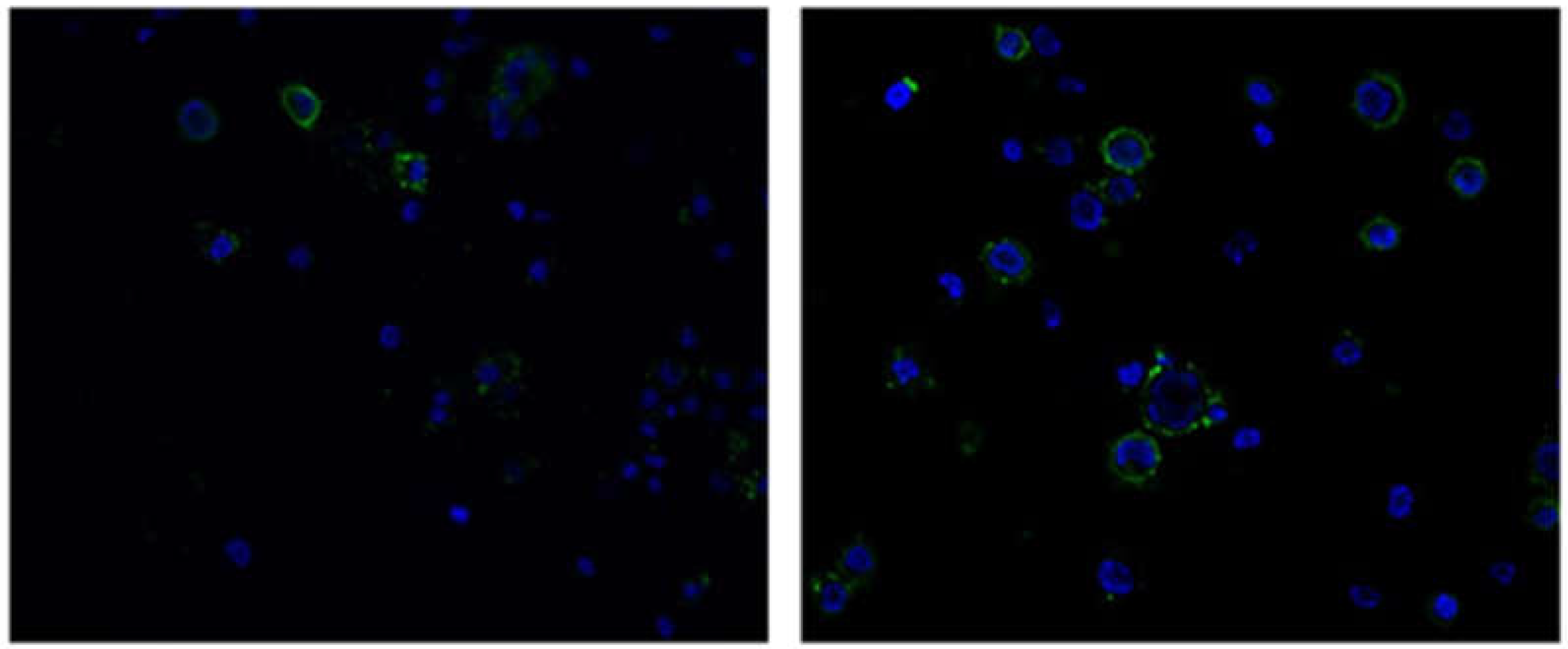 Preprints 215903 g002 Preprints 215903 g002