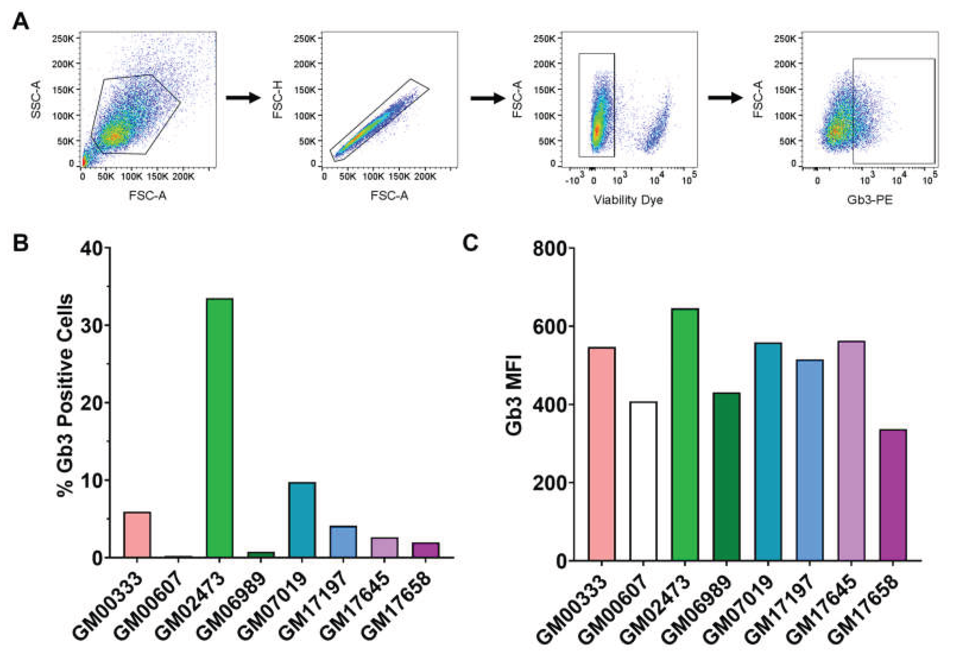 Preprints 215903 g005 Preprints 215903 g005