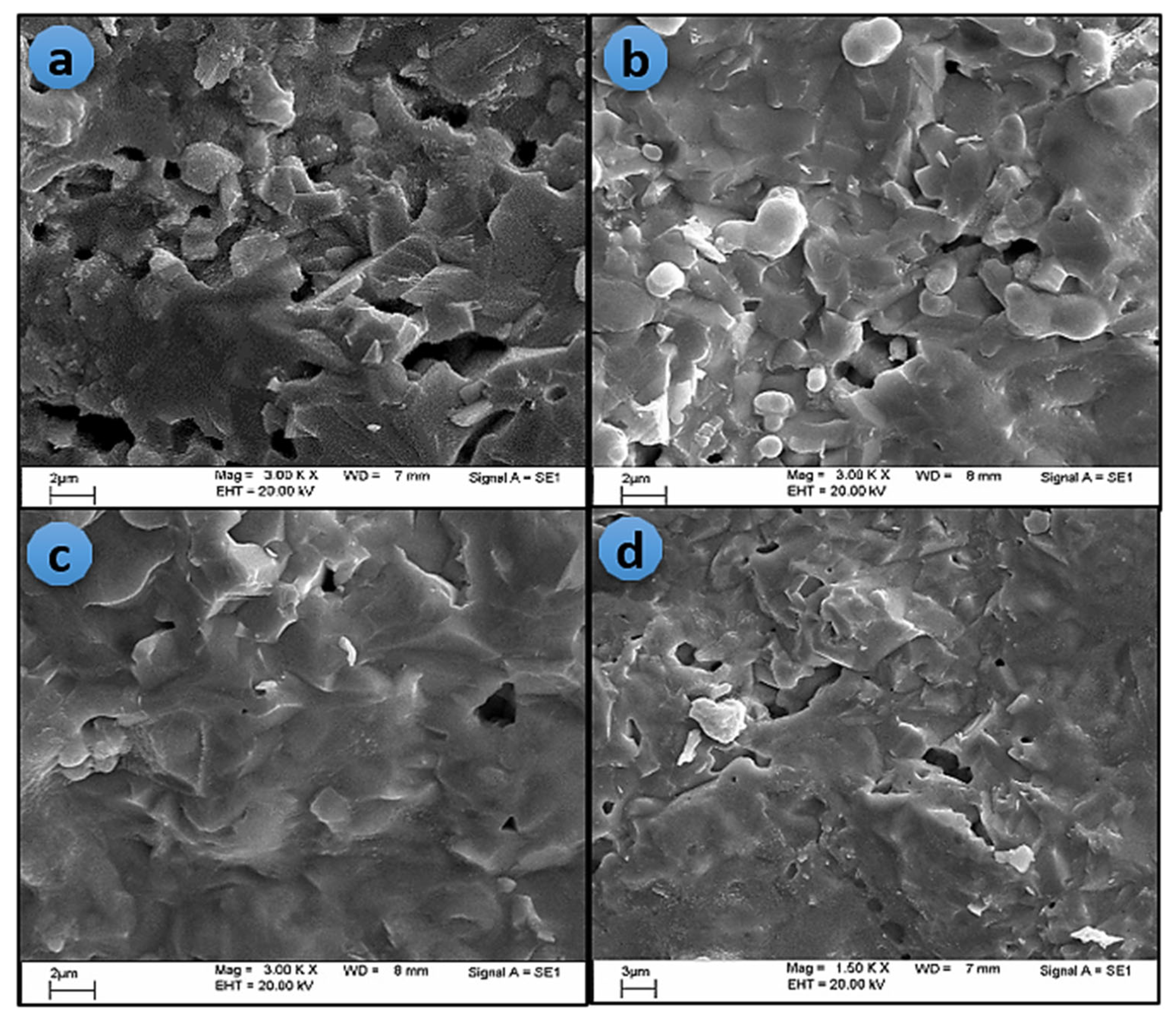 Preprints 186714 g004
