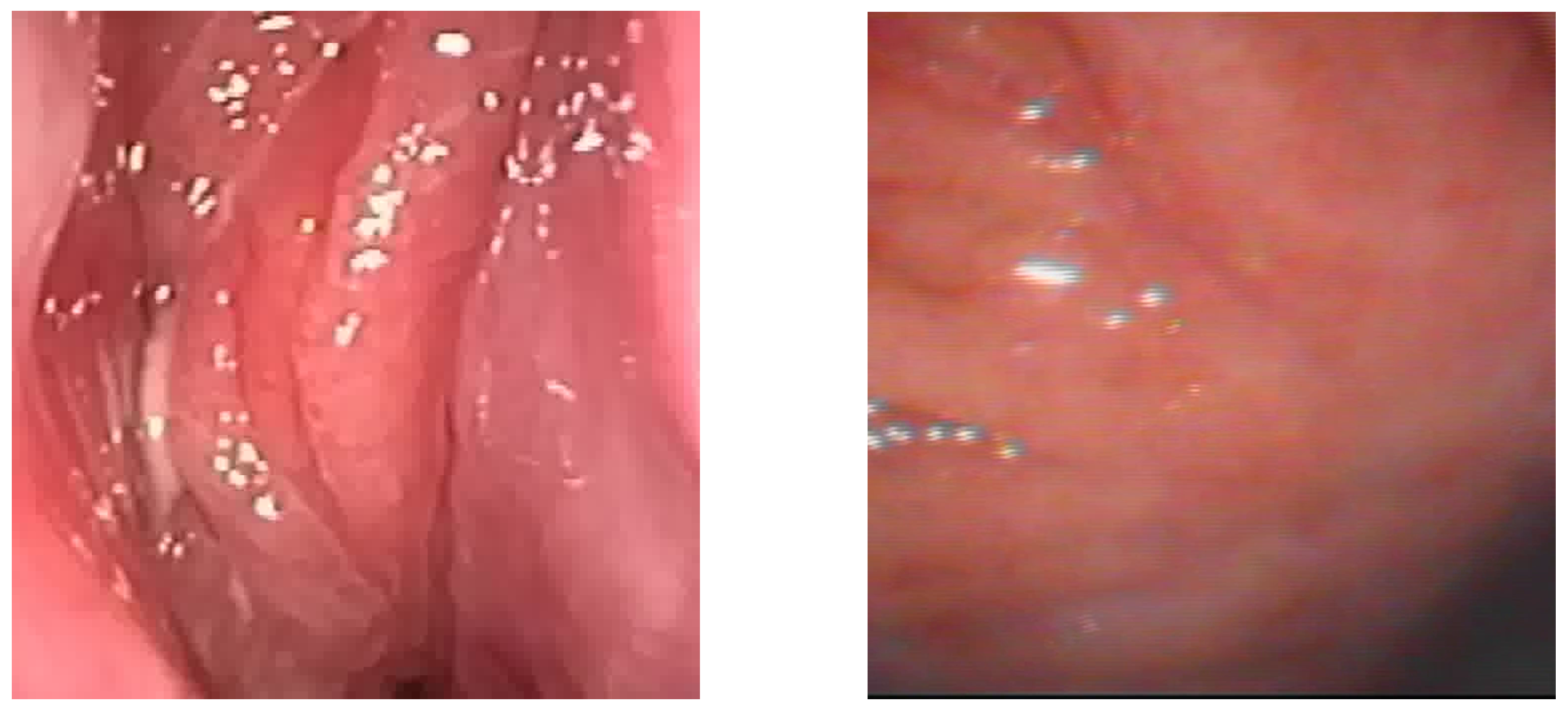 Preprints 161647 g001