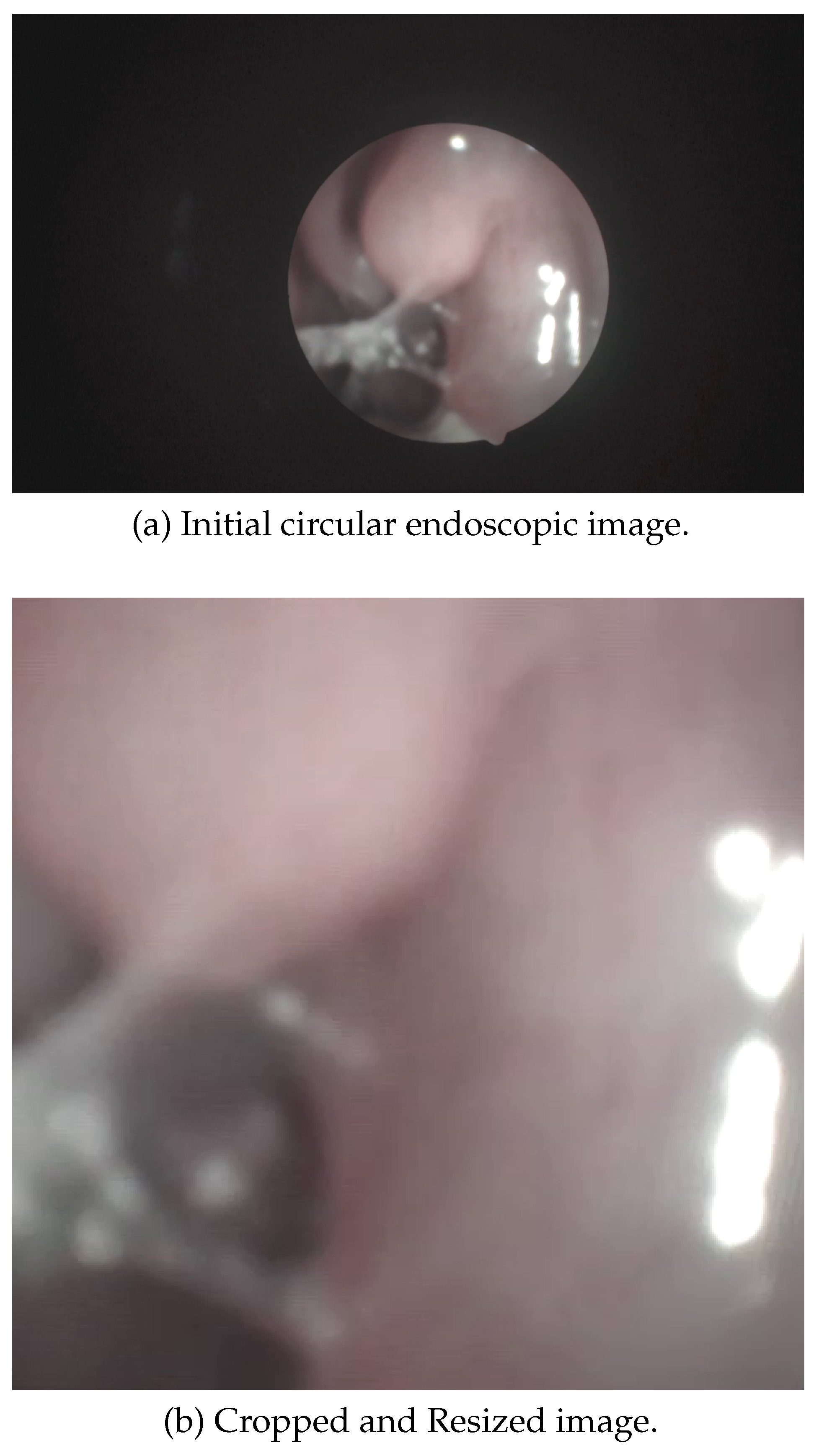 Preprints 161647 g004