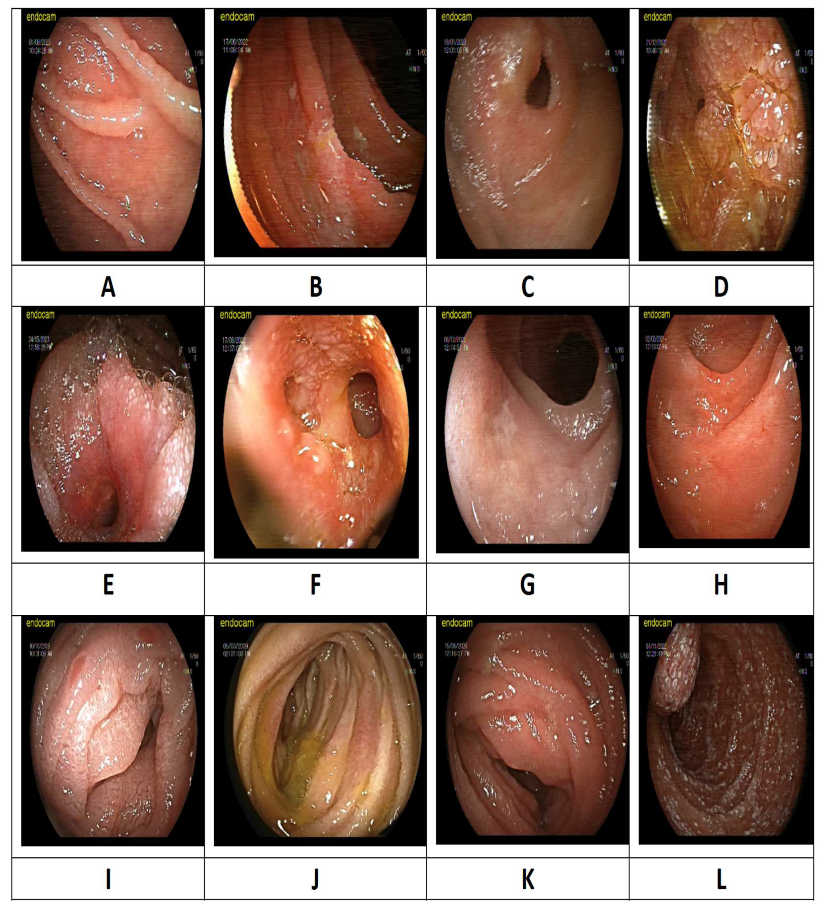 Preprints 151157 g002