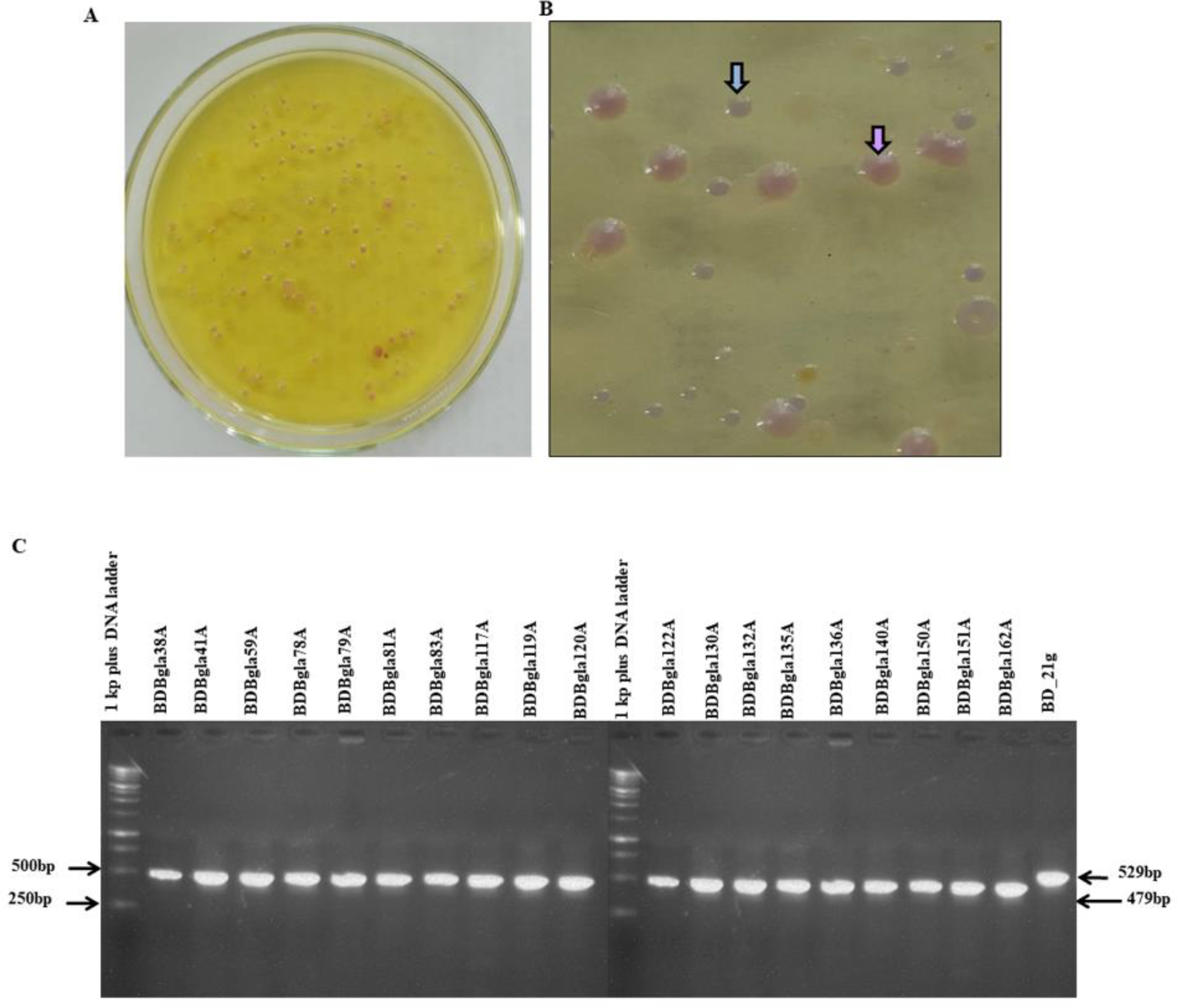 Preprints 194311 g002
