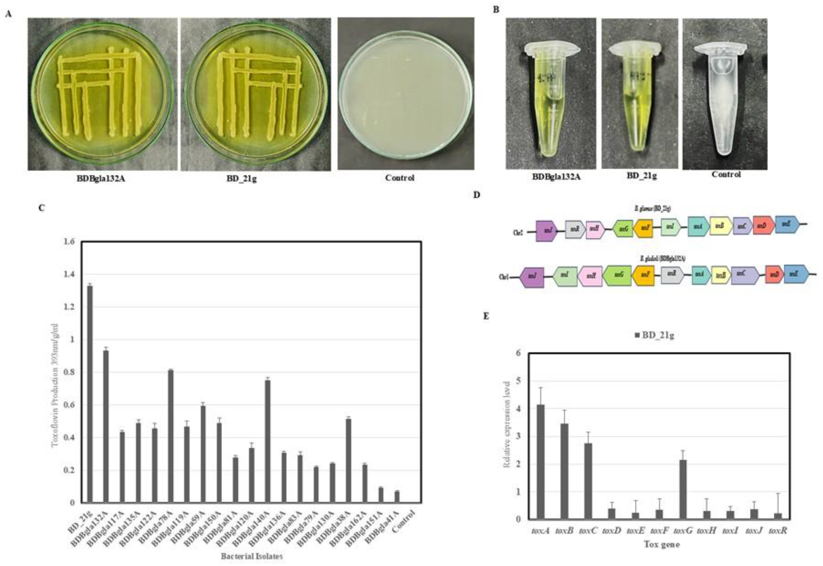 Preprints 194311 g005