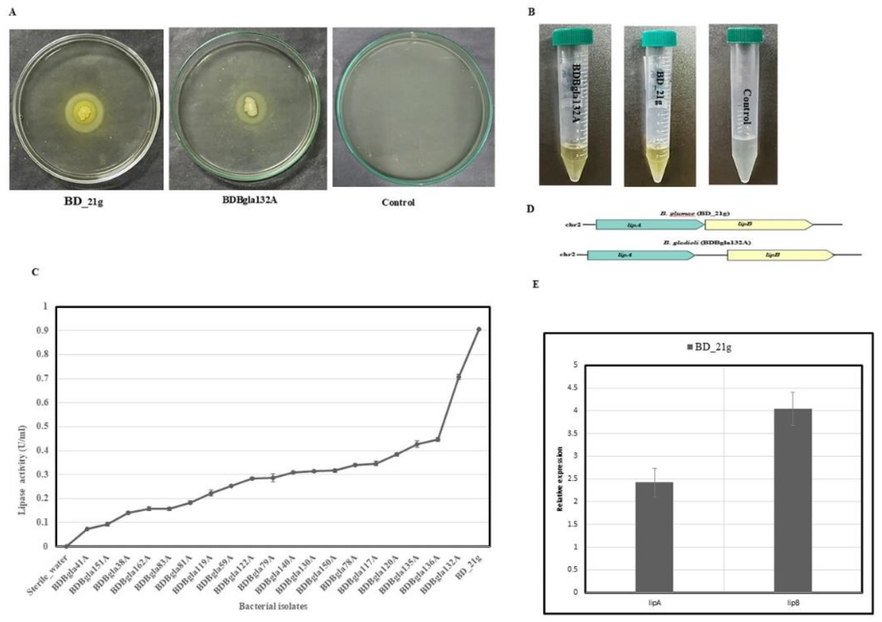 Preprints 194311 g006