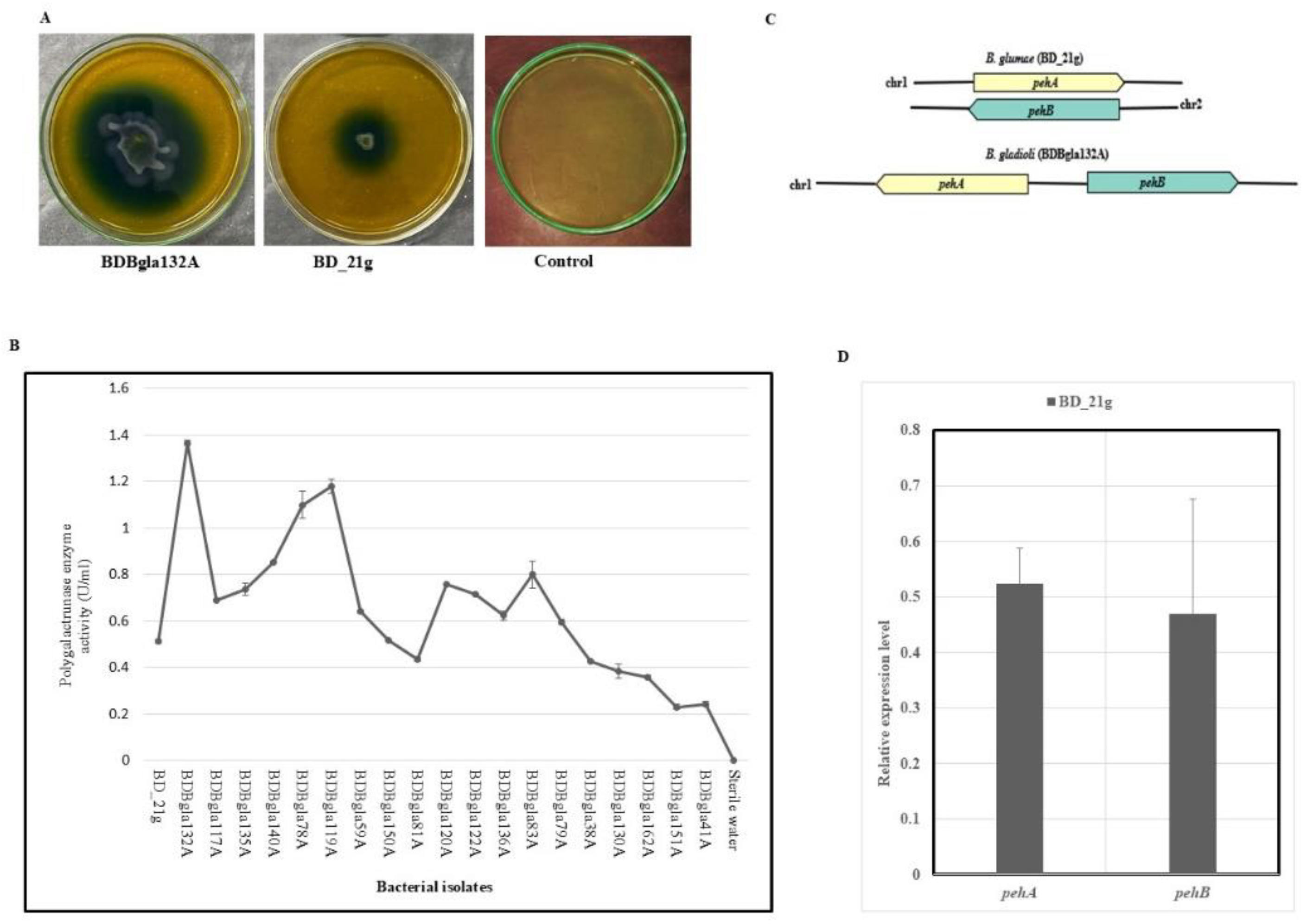 Preprints 194311 g007