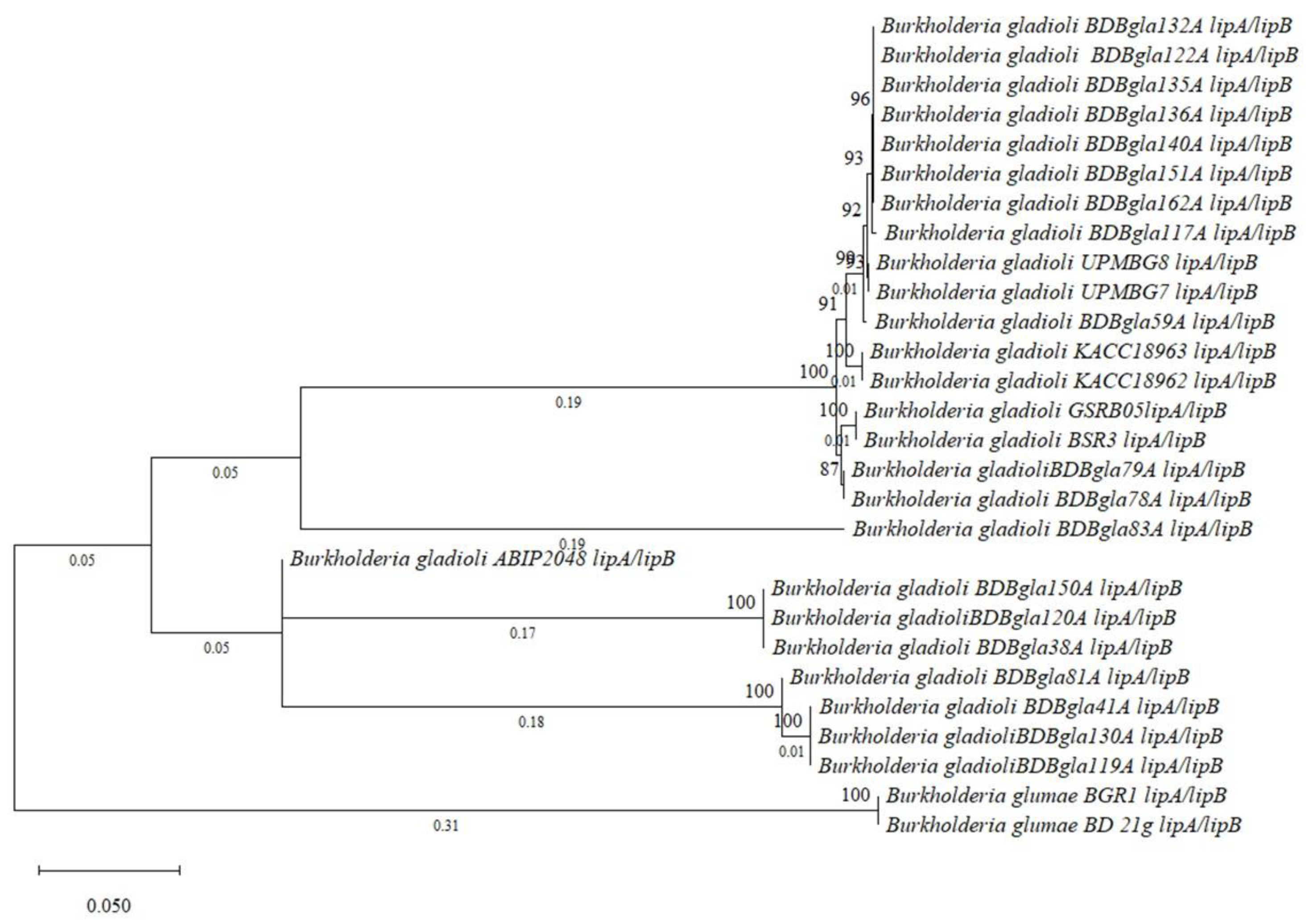 Preprints 194311 g010