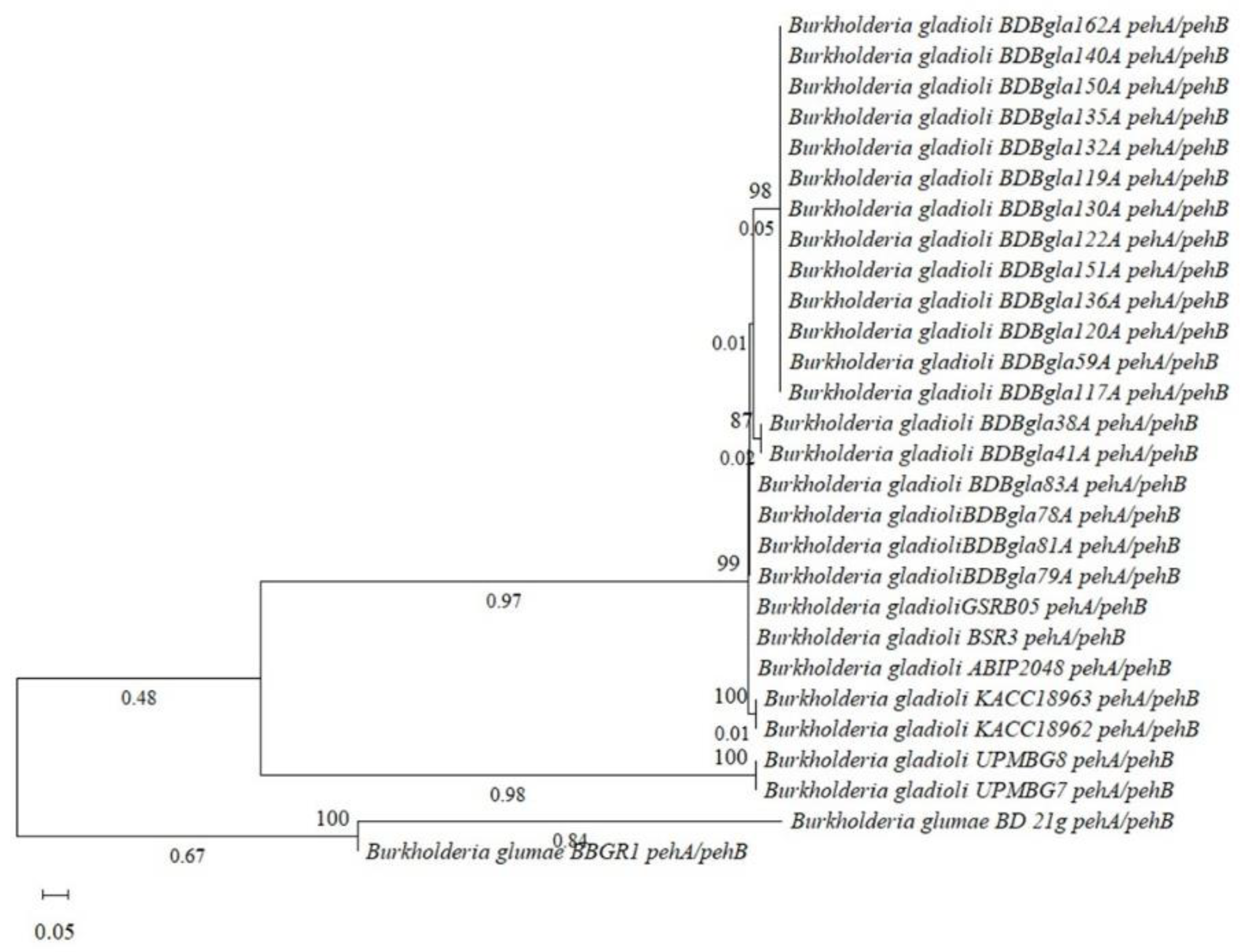 Preprints 194311 g011