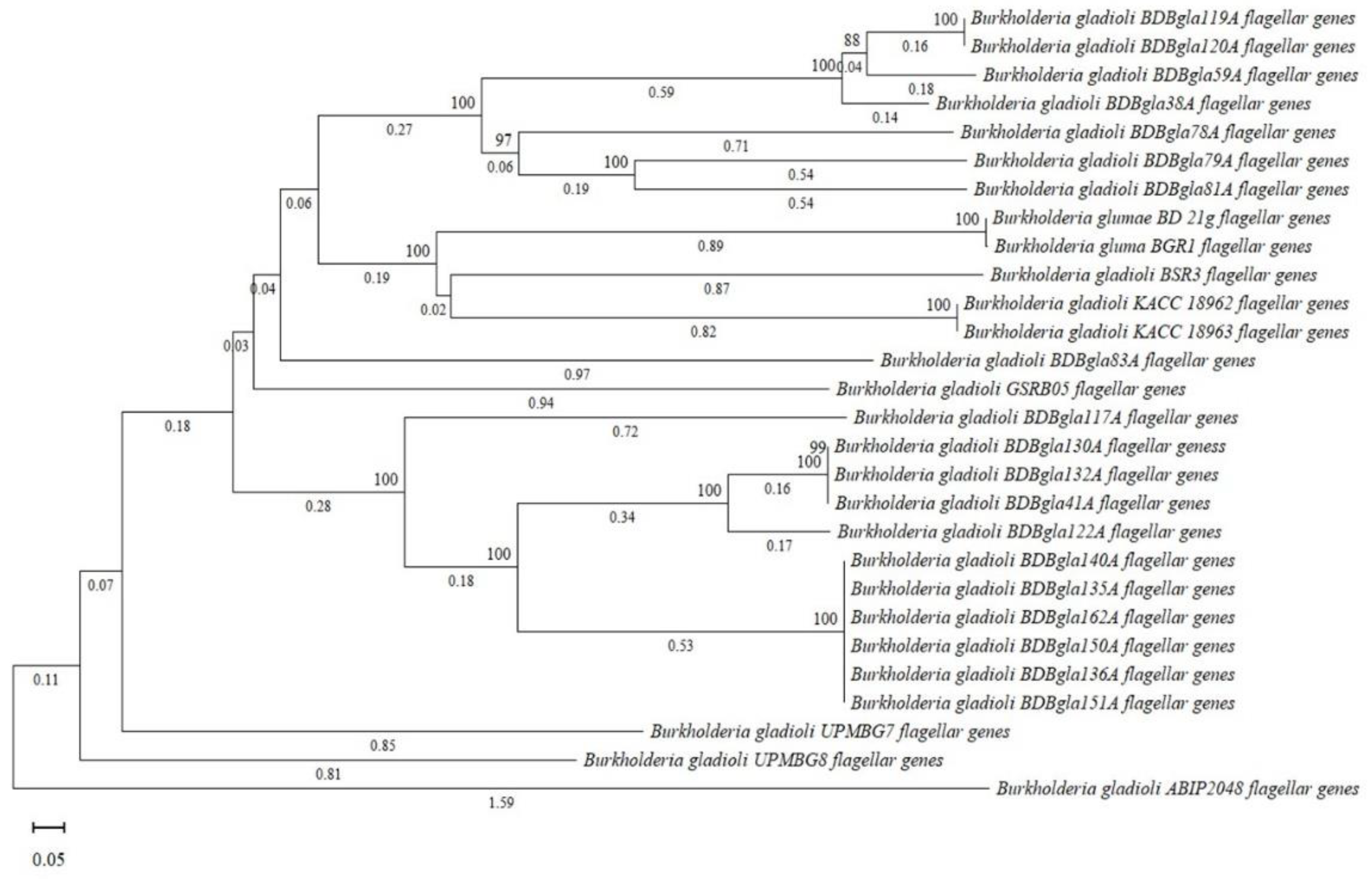 Preprints 194311 g012