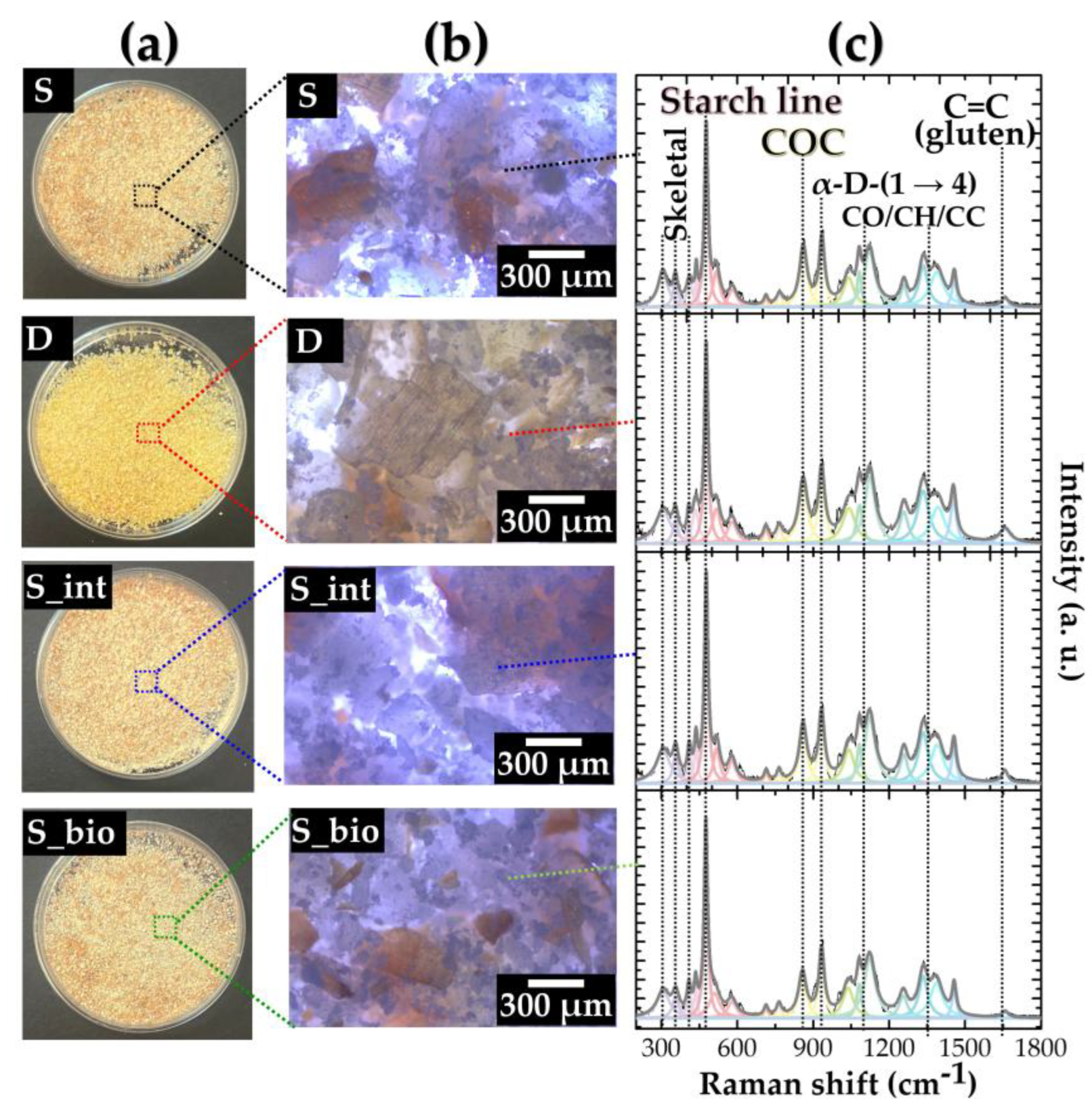 Preprints 151922 g001