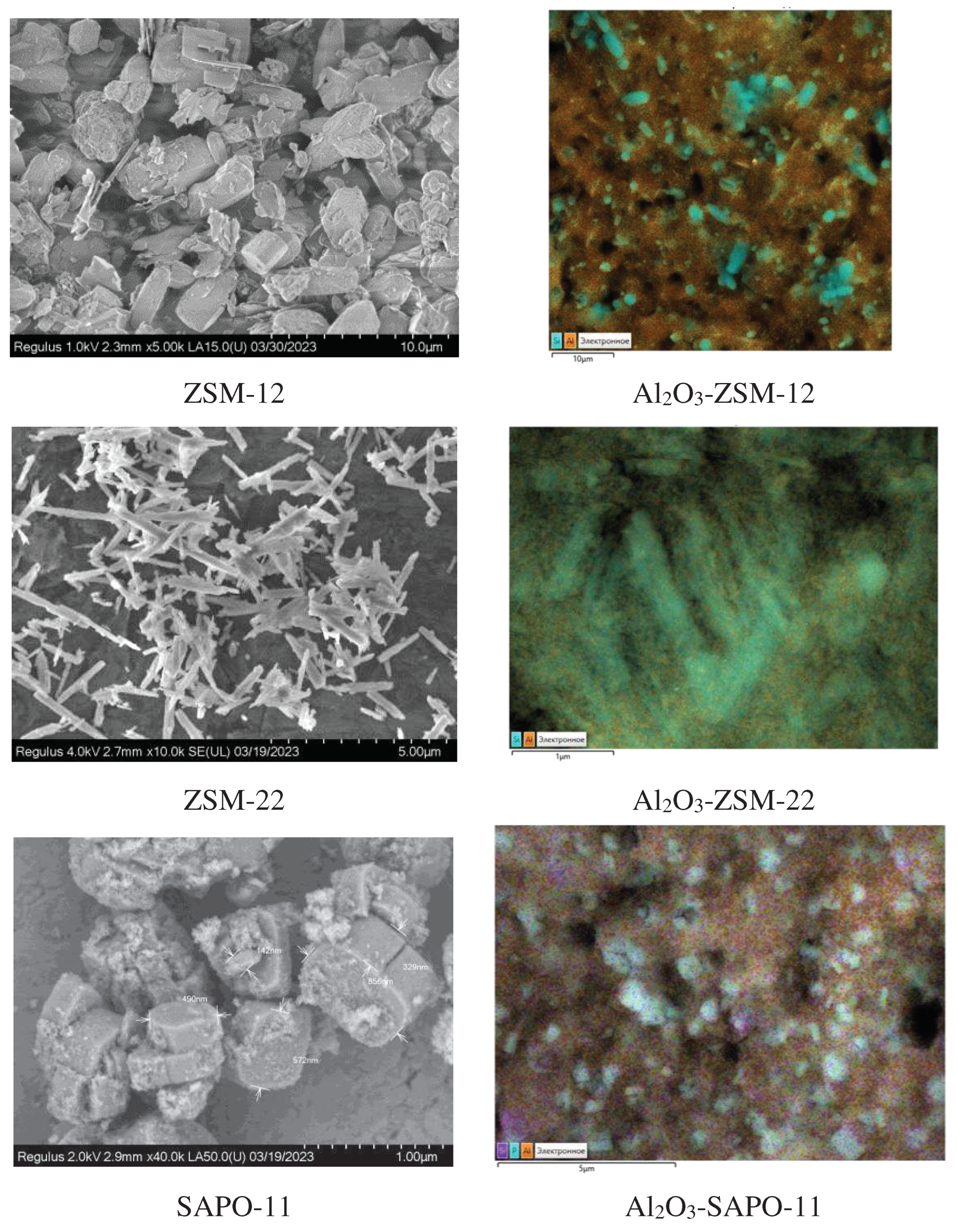 Preprints 85345 g002b