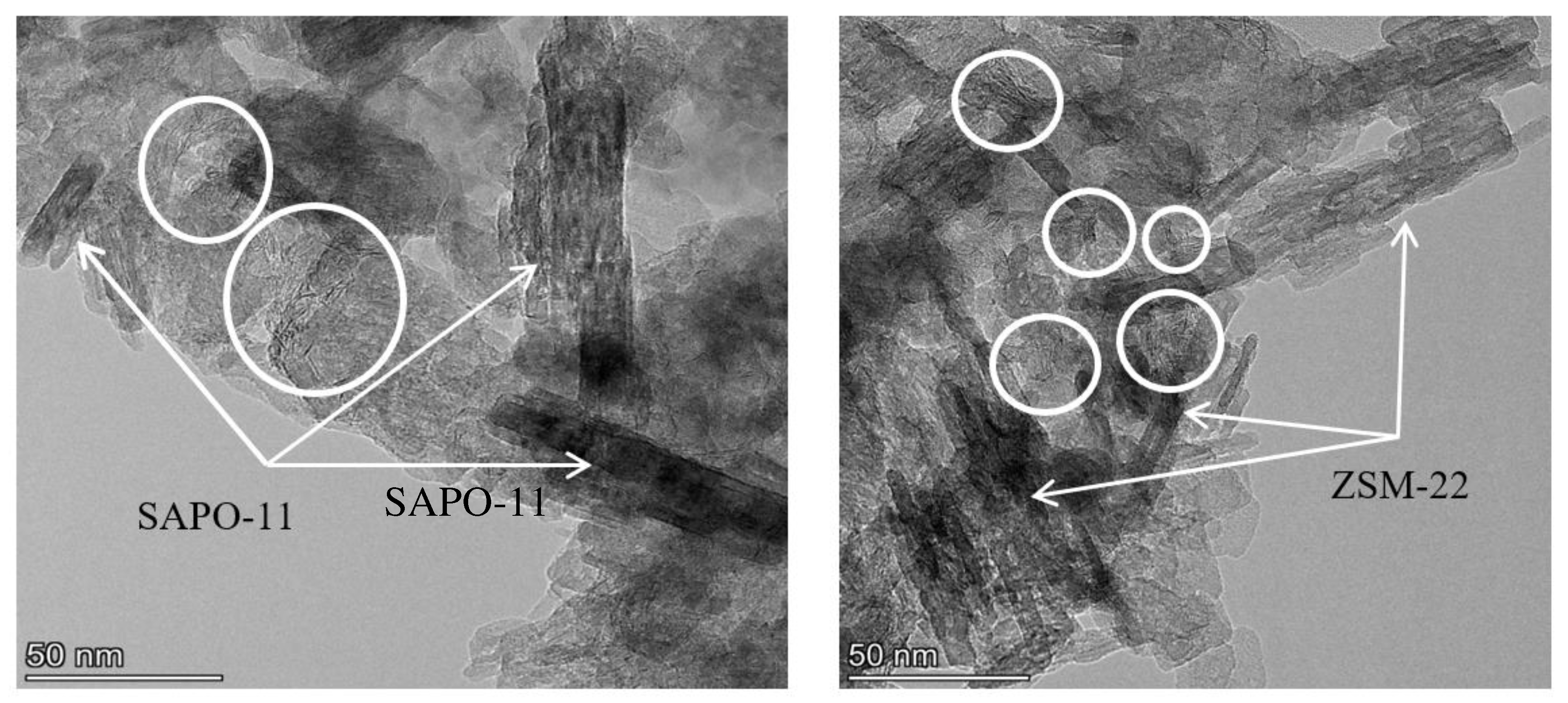 Preprints 85345 g007
