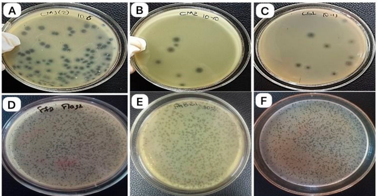Preprints 223644 g003