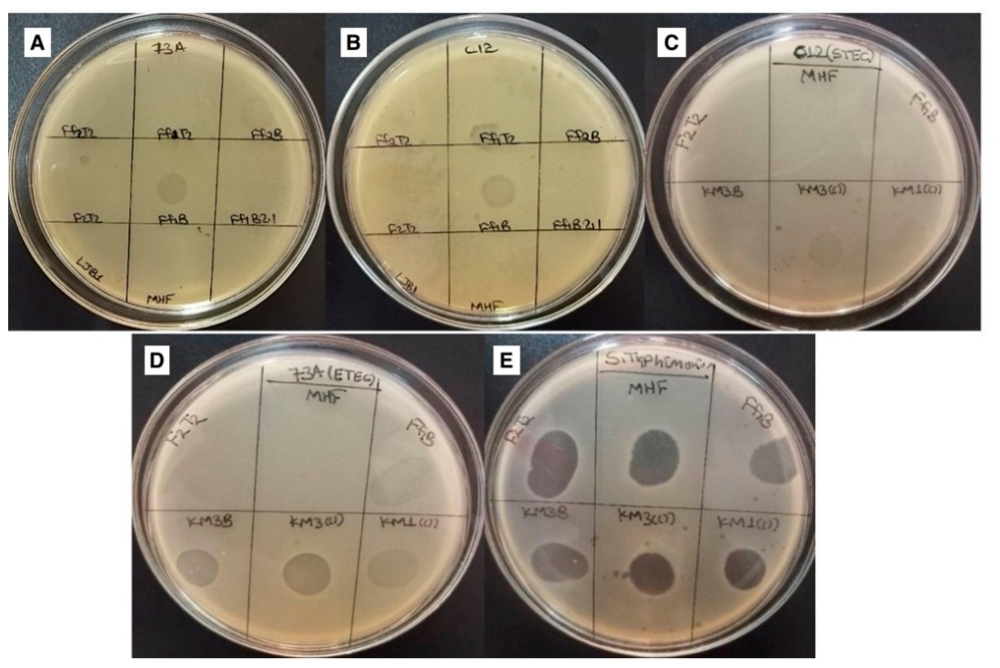 Preprints 223644 g005
