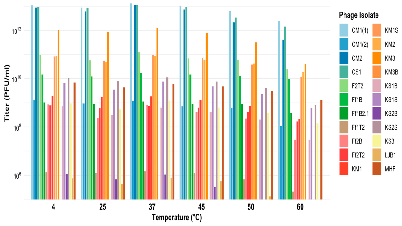 Preprints 223644 g008