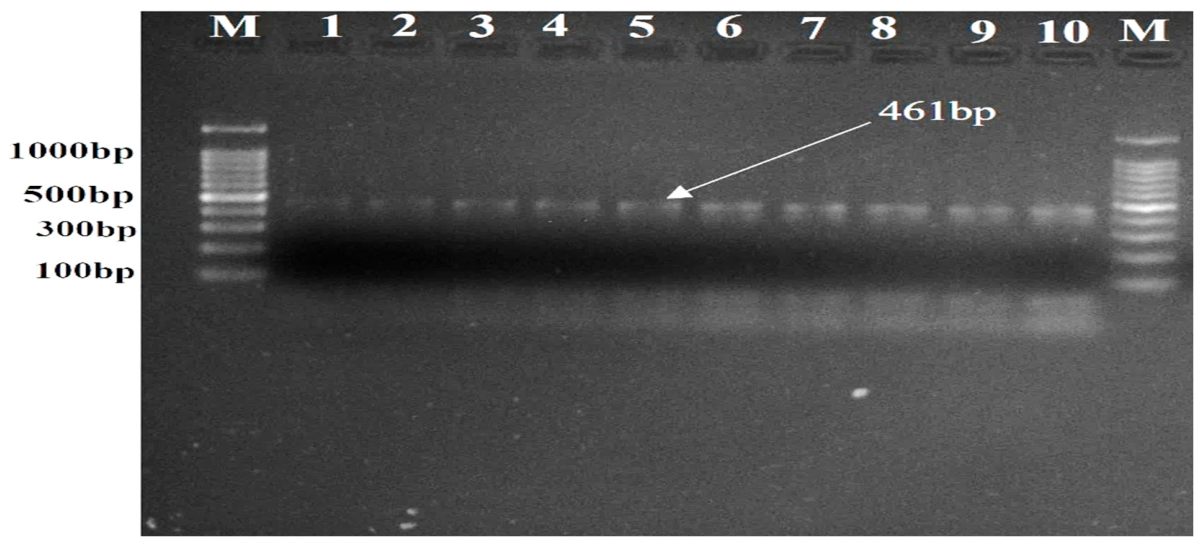 Preprints 223644 g011