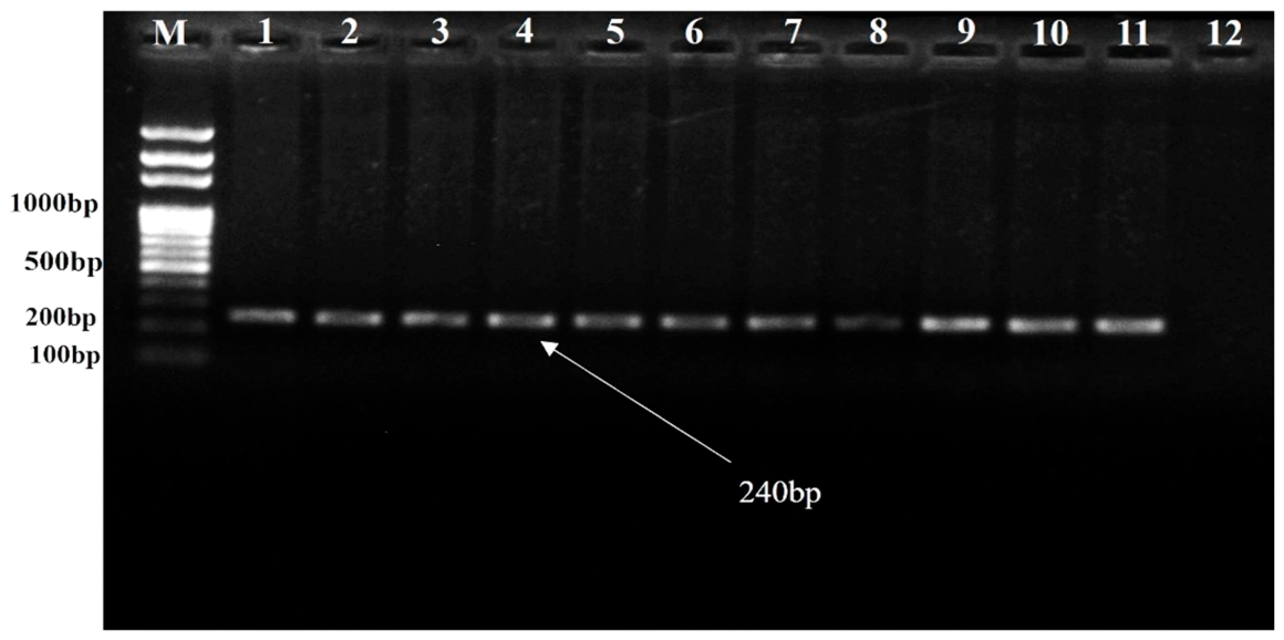 Preprints 223644 g012