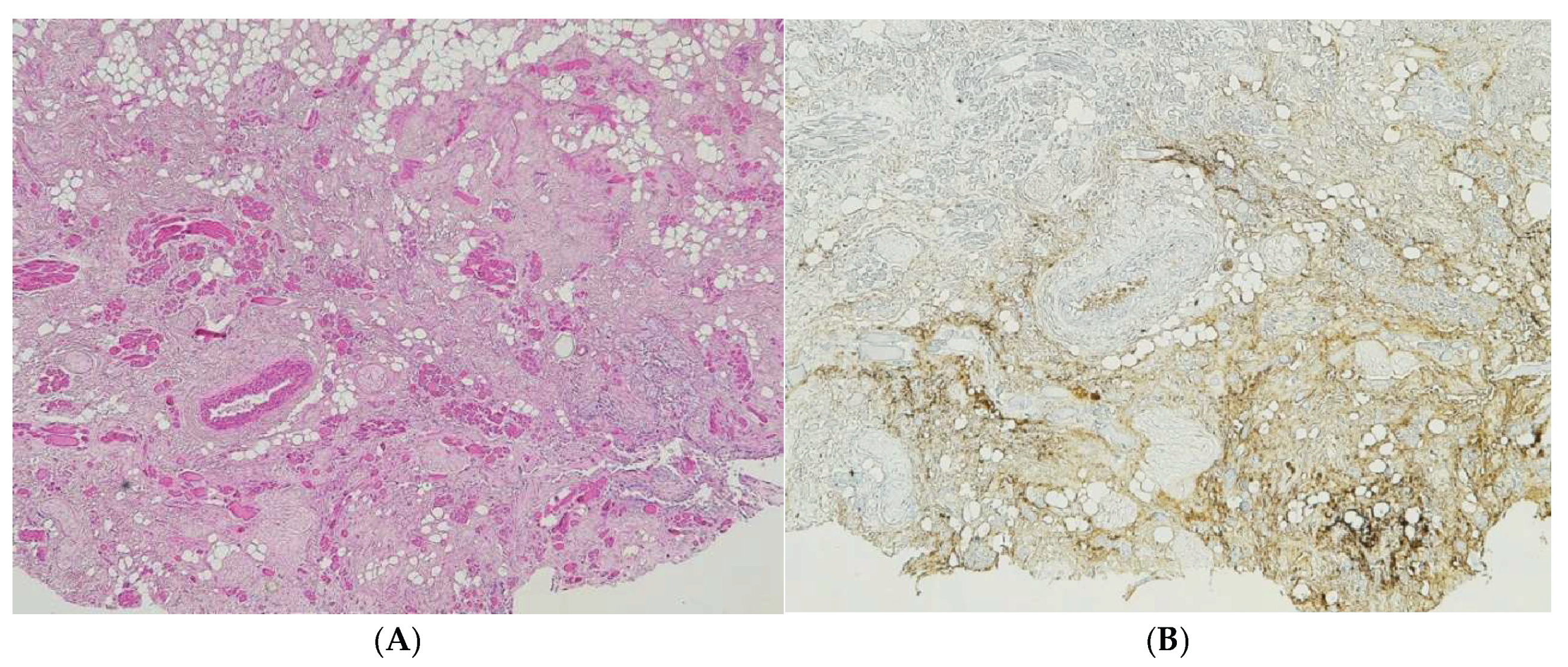 Preprints 192006 g003