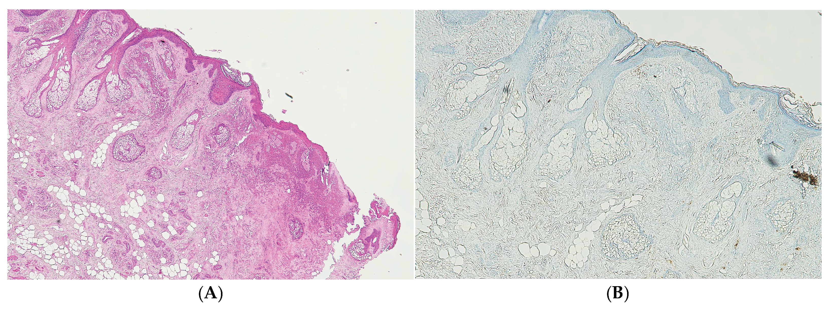 Preprints 192006 g004