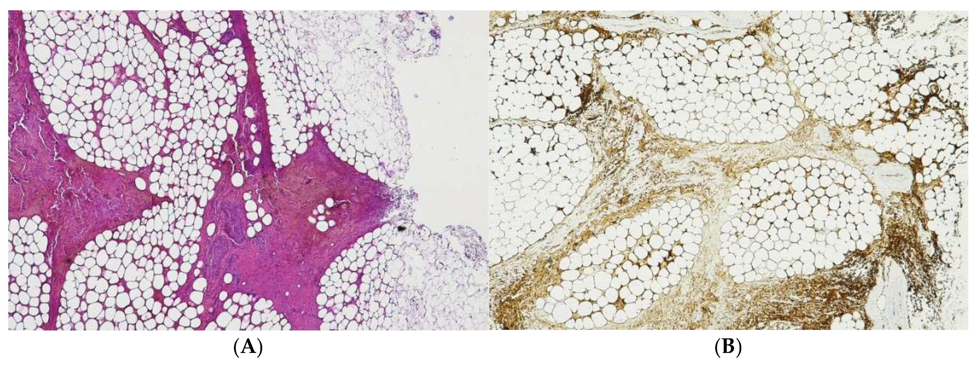 Preprints 192006 g005