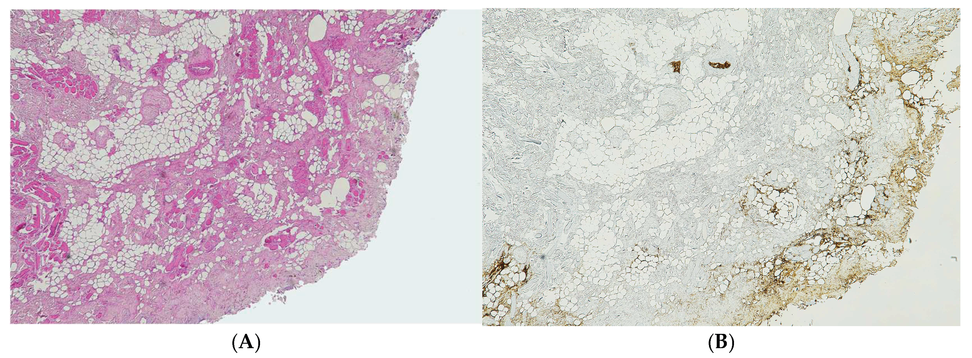 Preprints 192006 g006