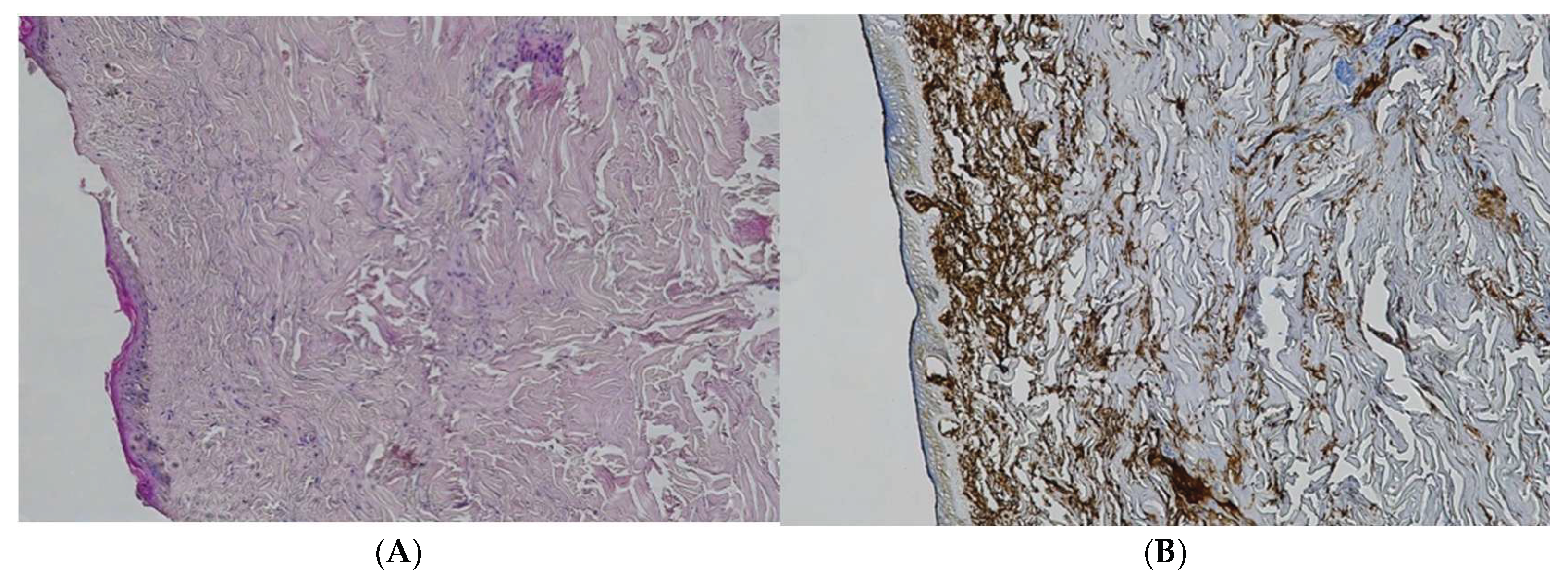 Preprints 192006 g007