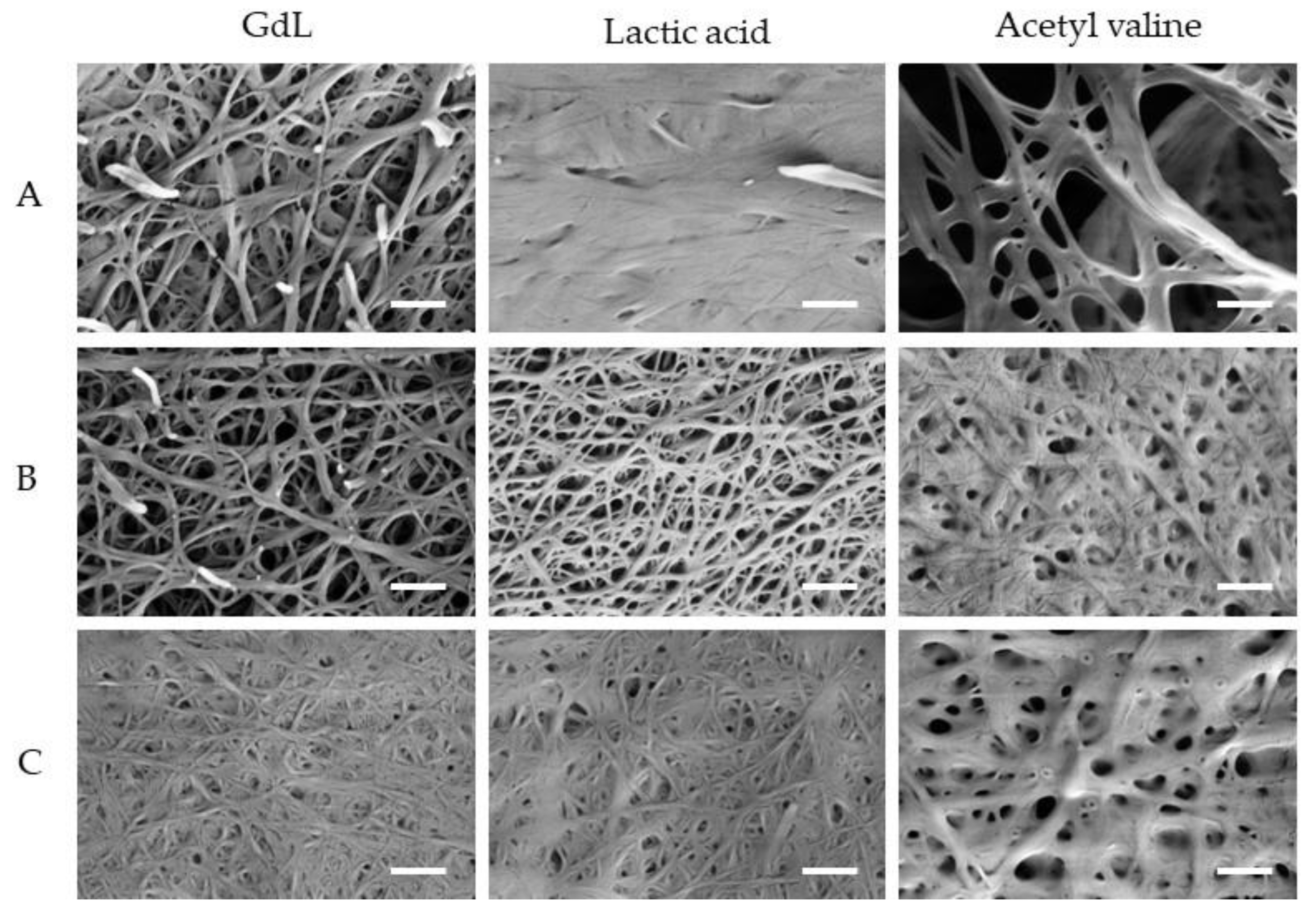 Preprints 167340 g003