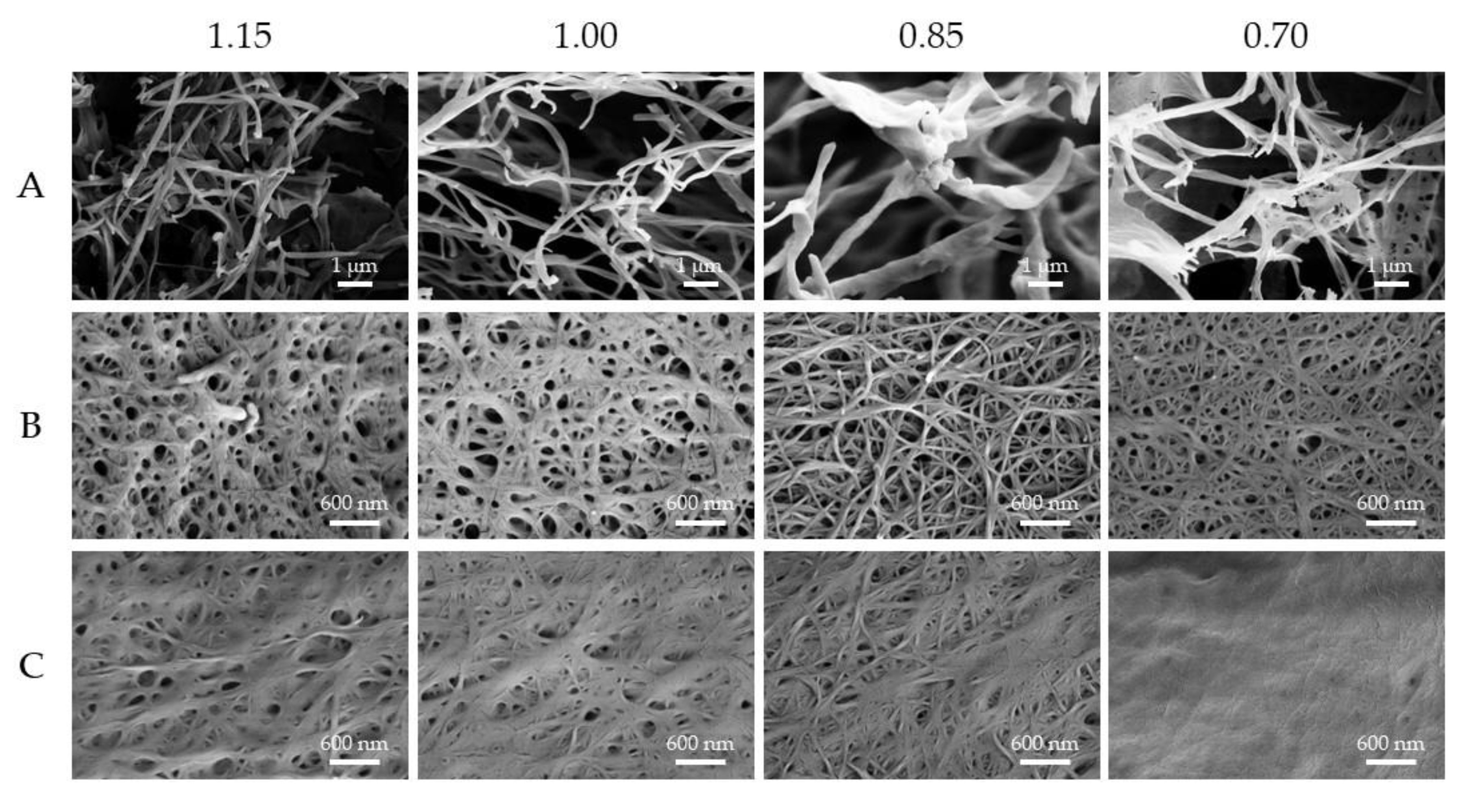 Preprints 167340 g005