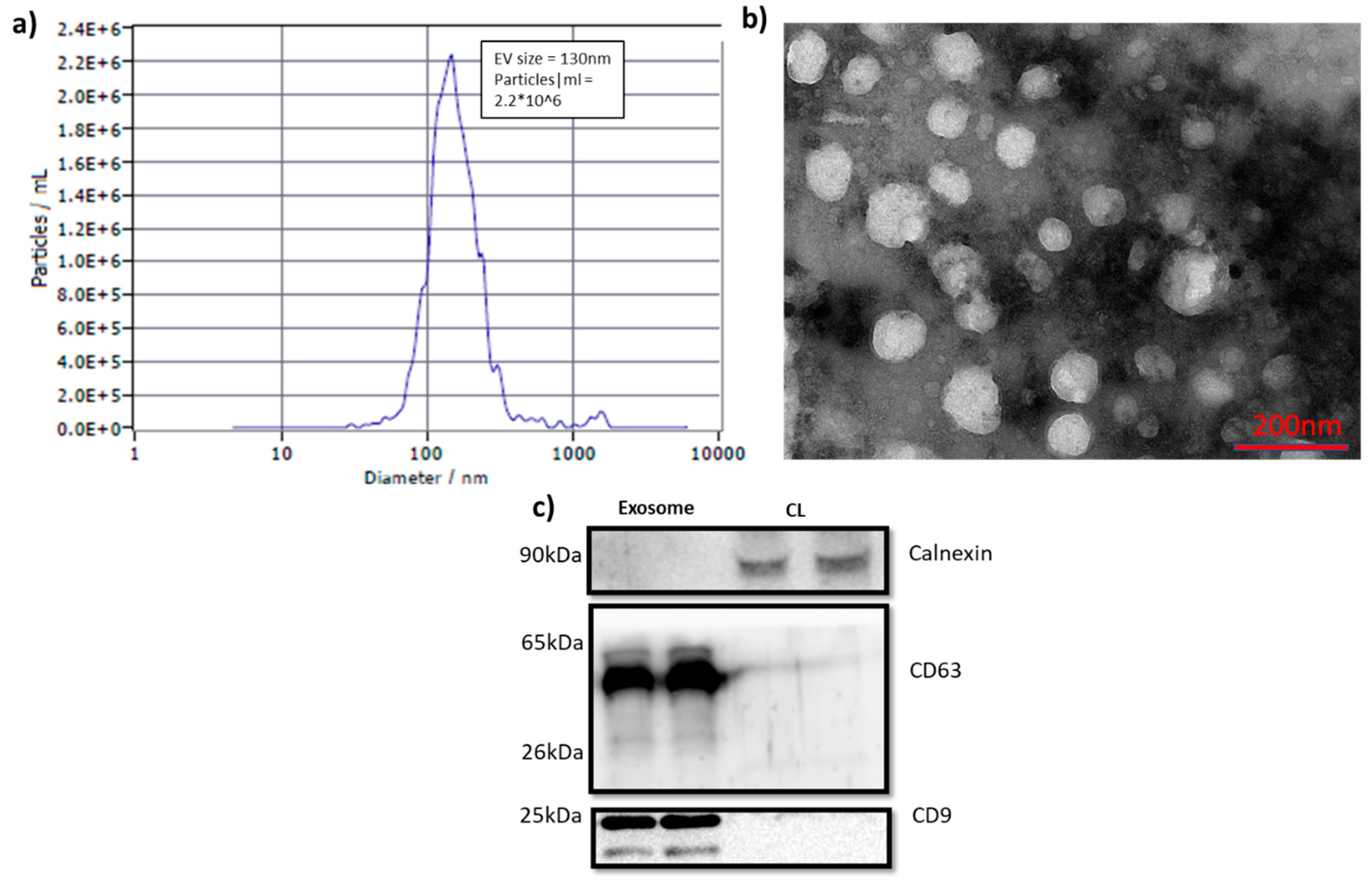 Preprints 147638 g001