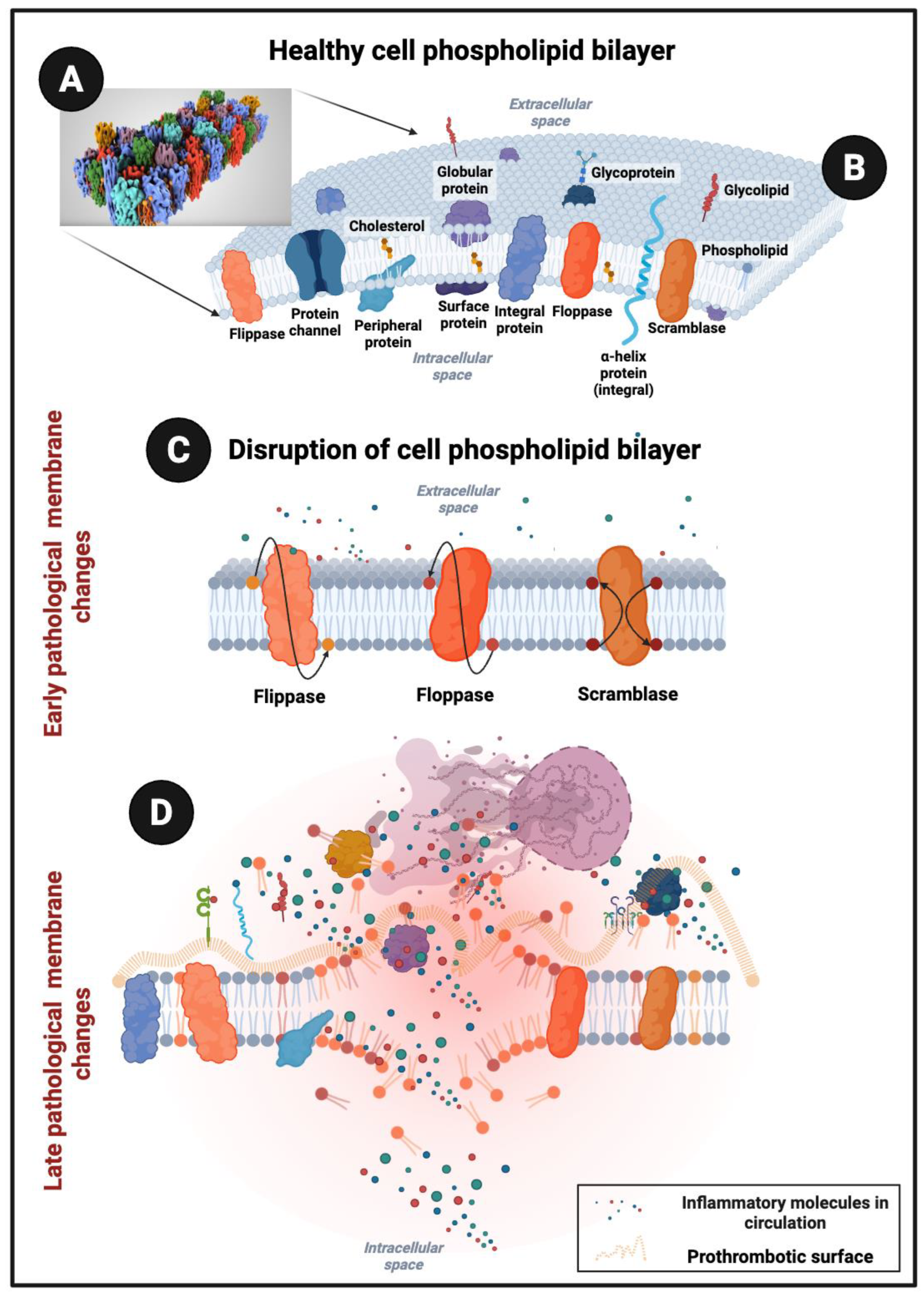 Preprints 180853 g001