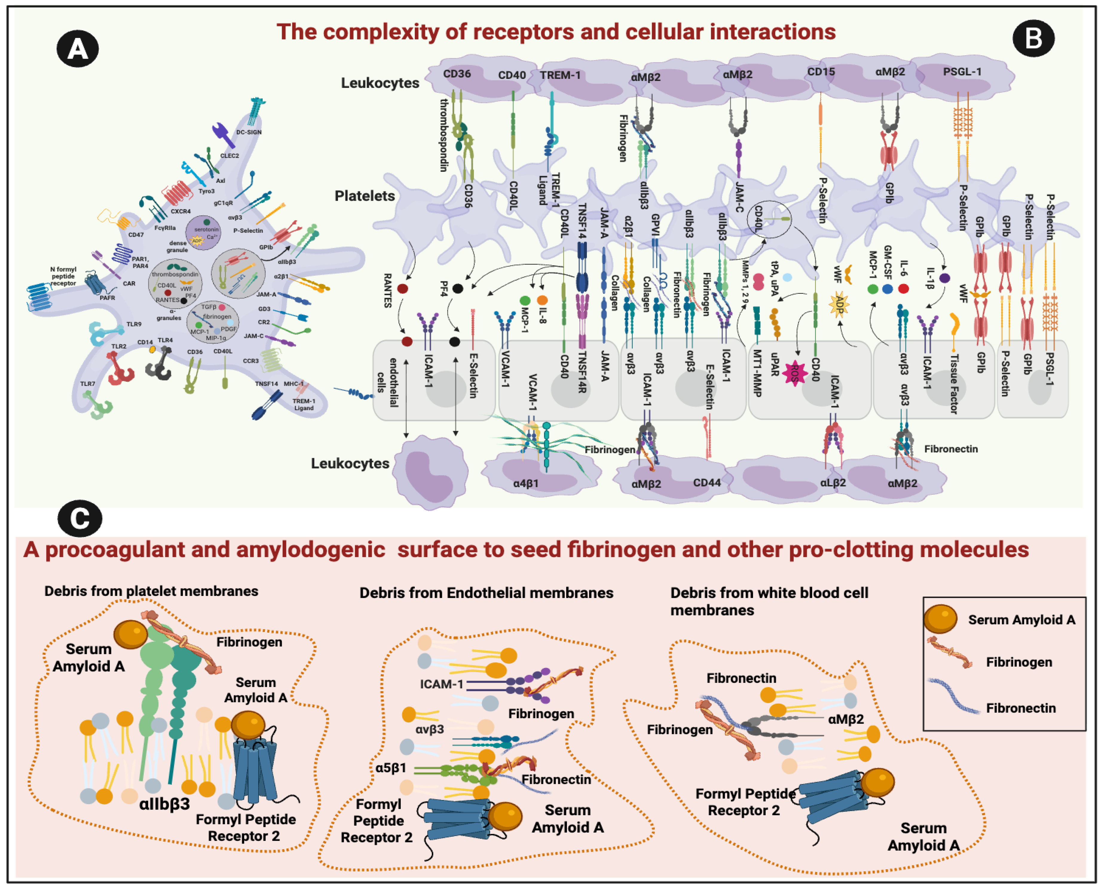 Preprints 180853 g002