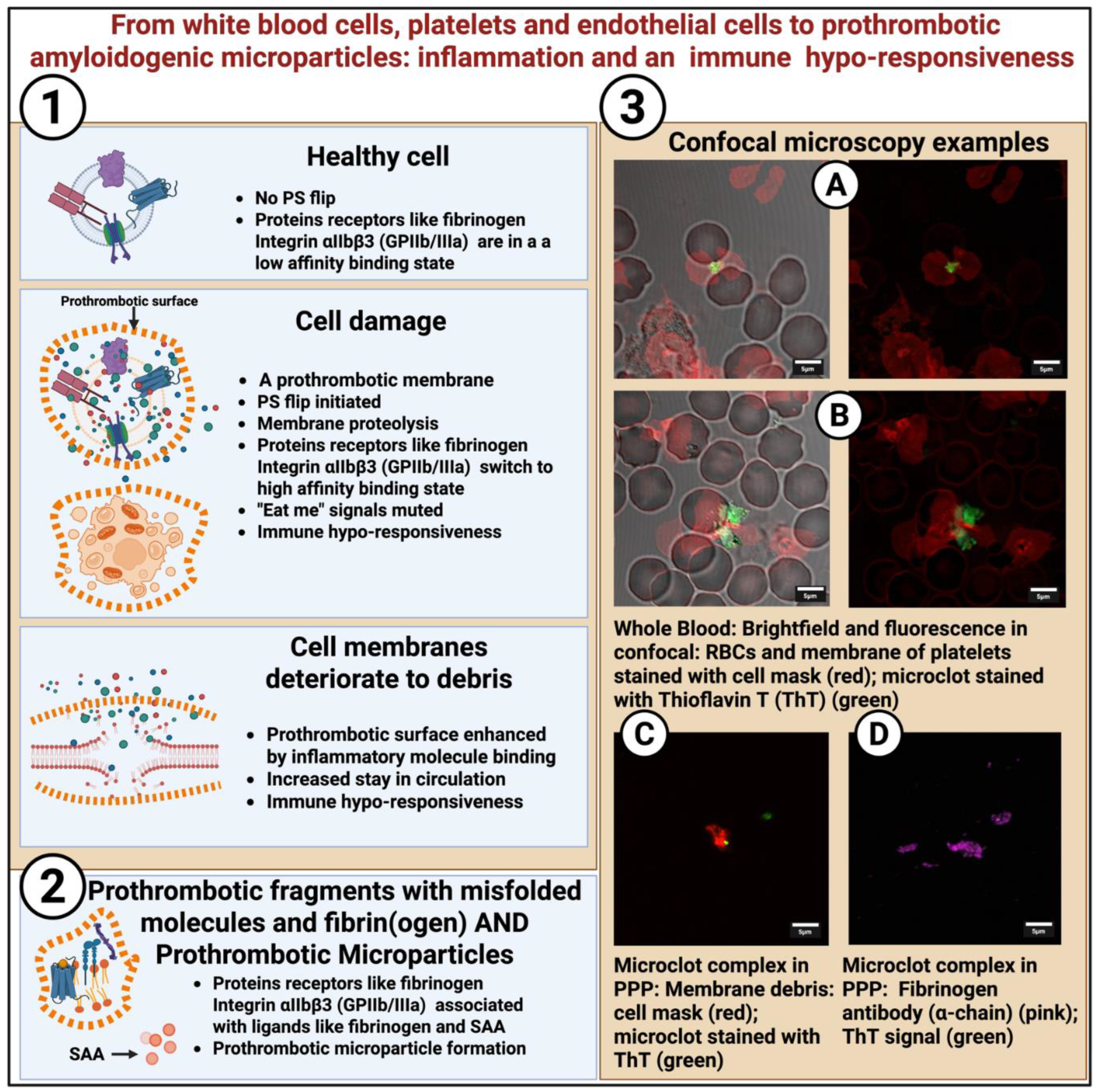 Preprints 180853 g003