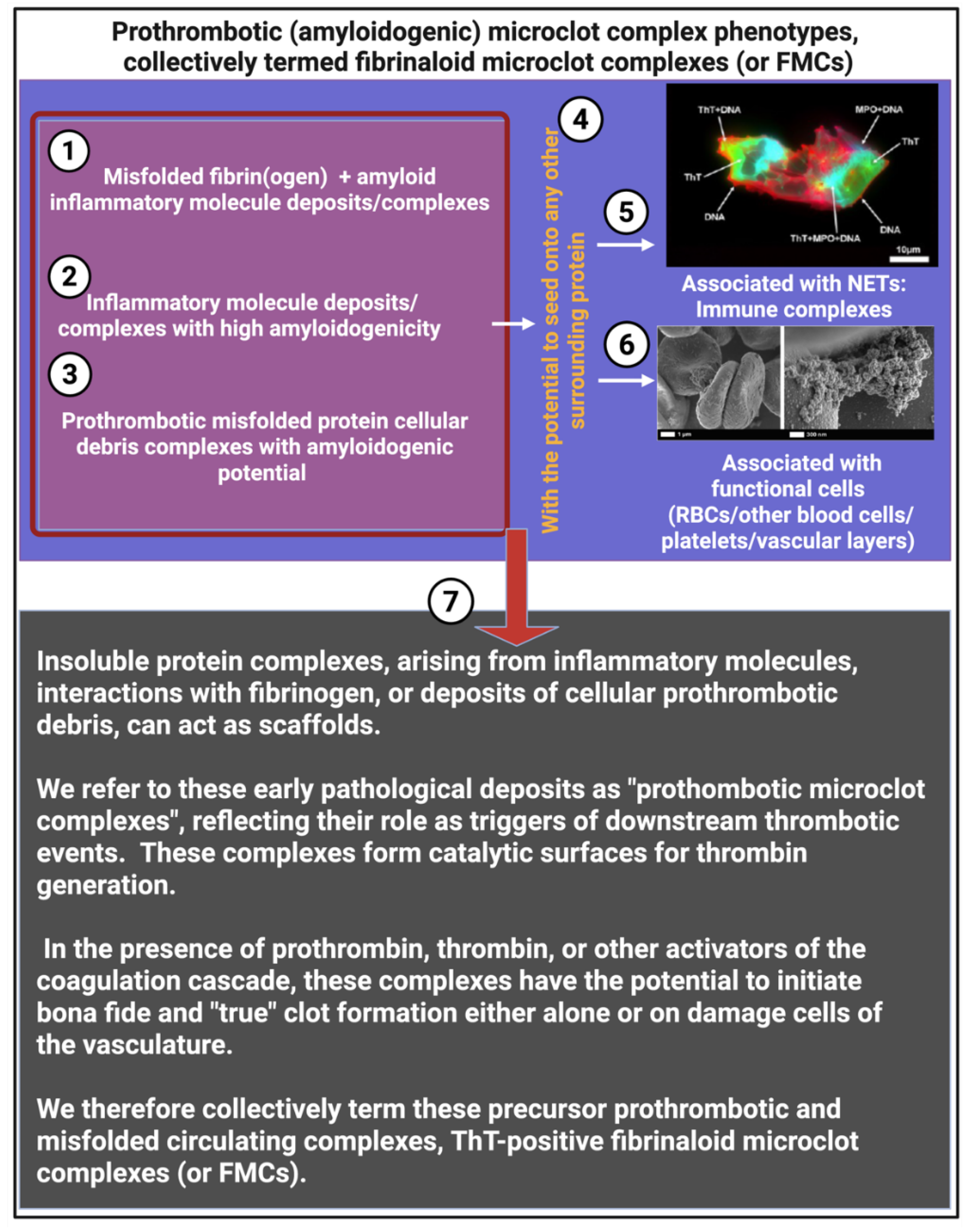Preprints 180853 g006