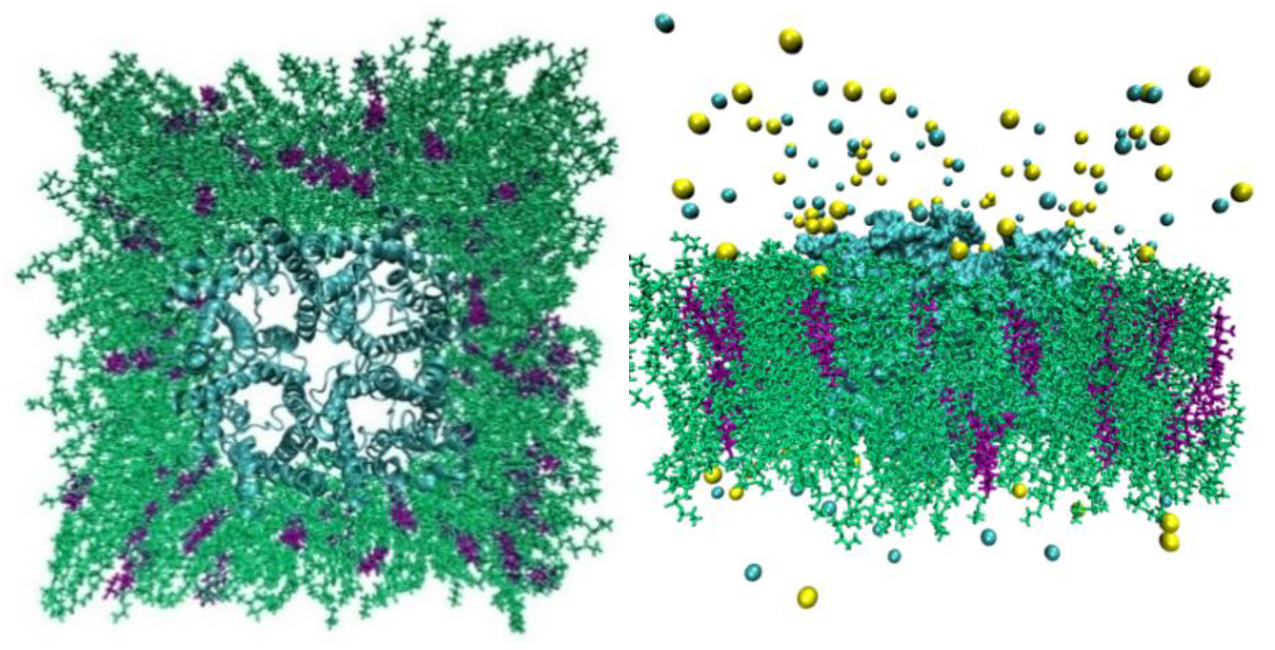 Preprints 164297 g003