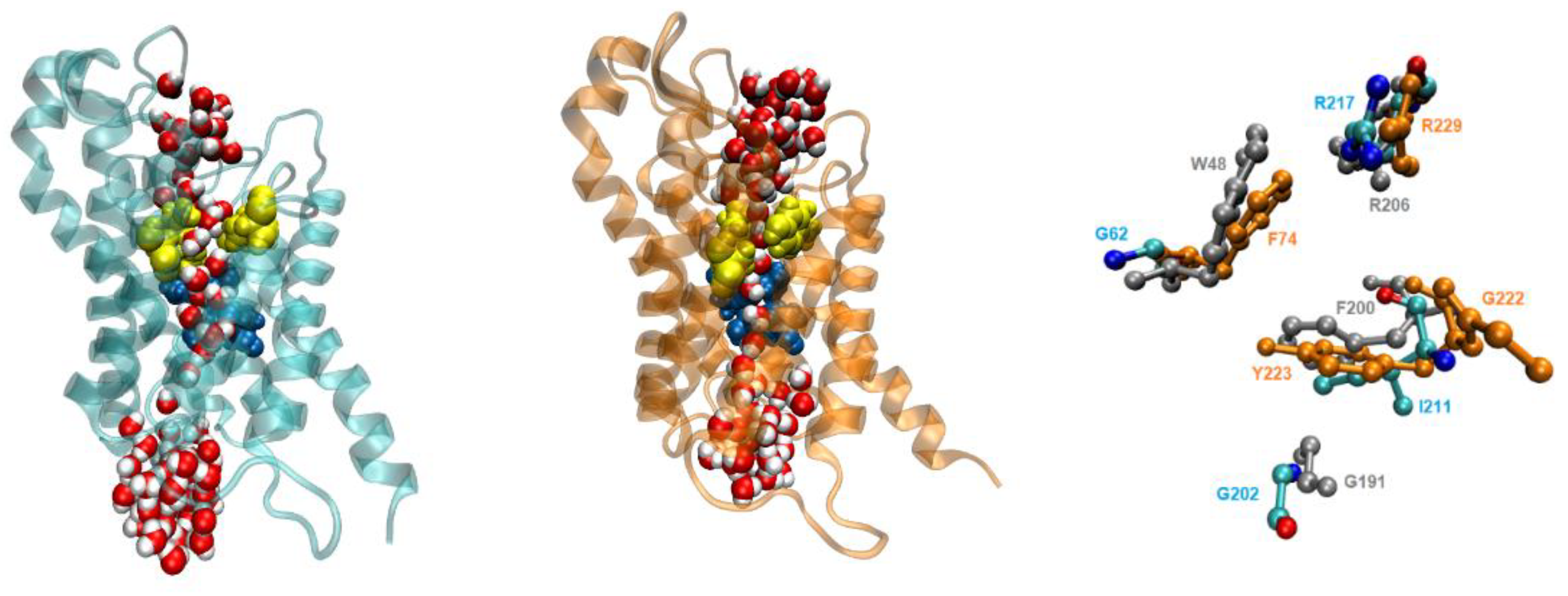 Preprints 164297 g008