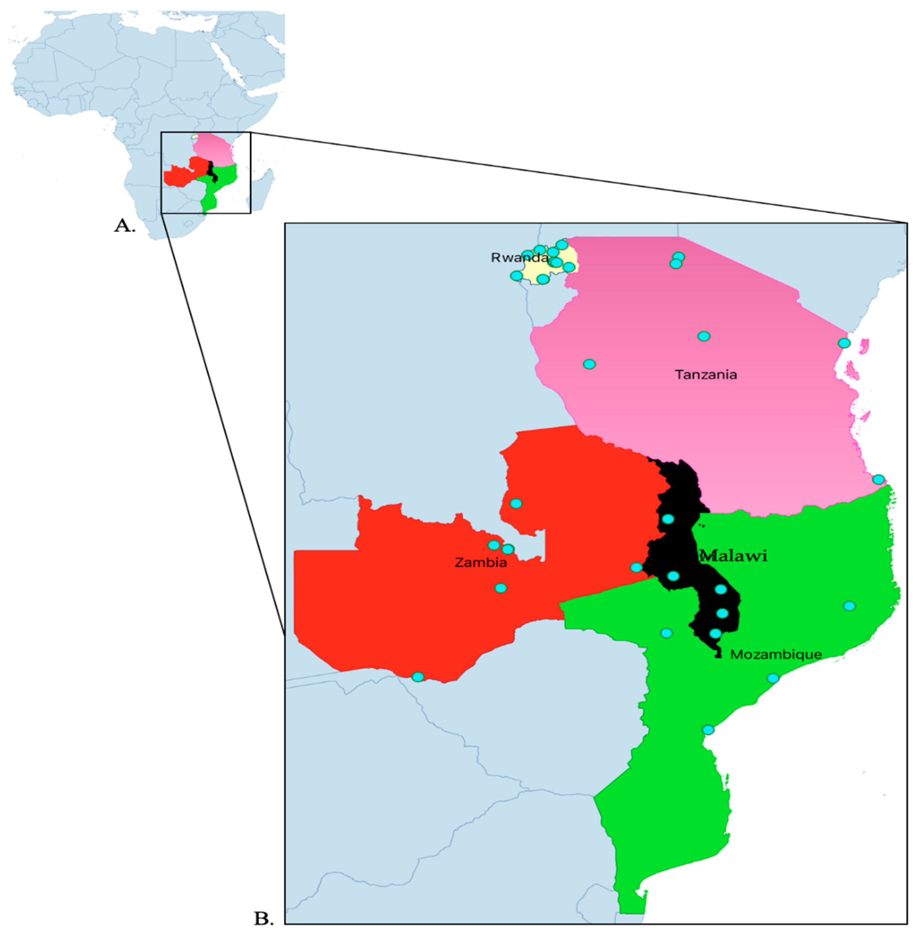 Preprints 148247 g007
