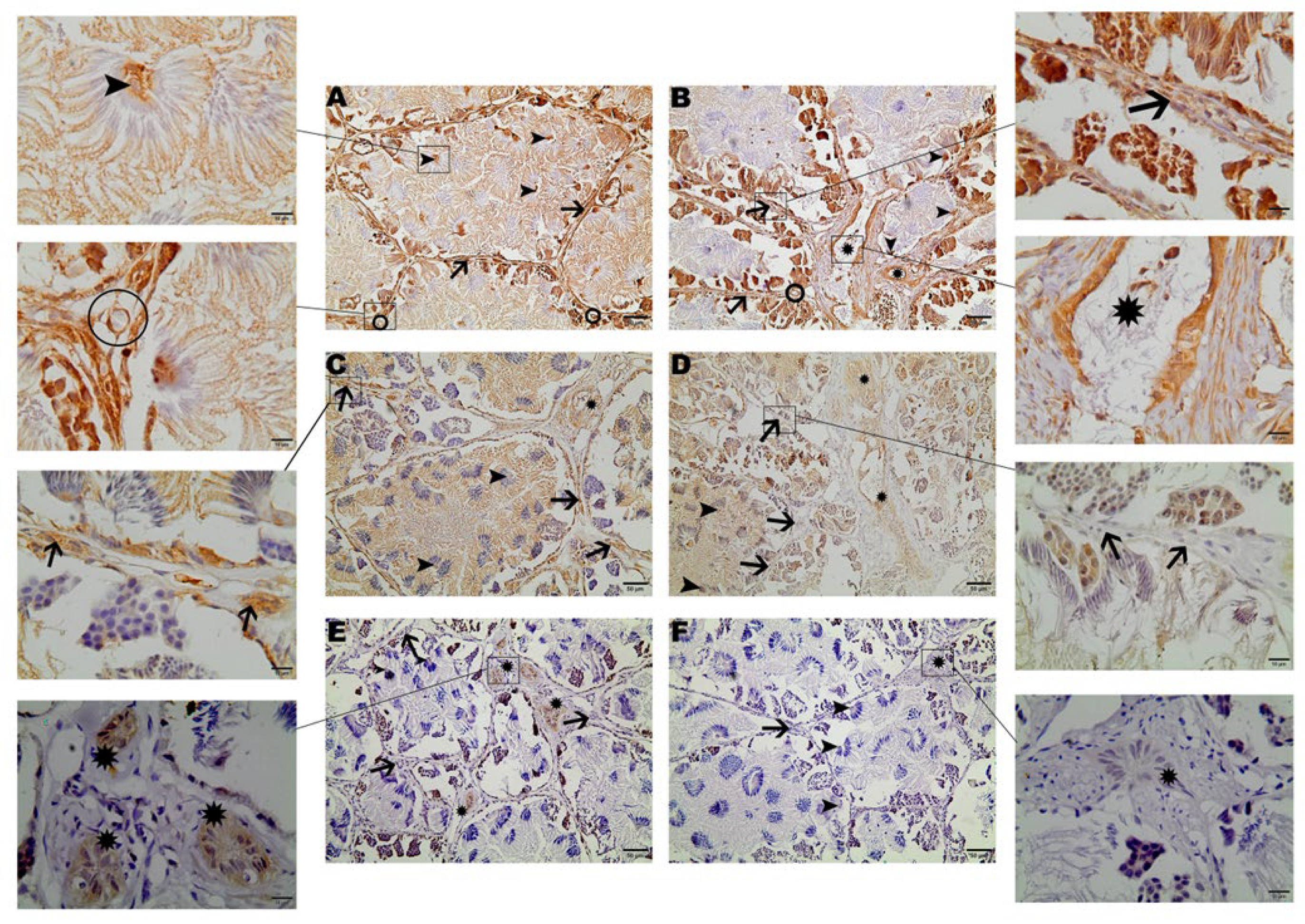 Preprints 111811 g001