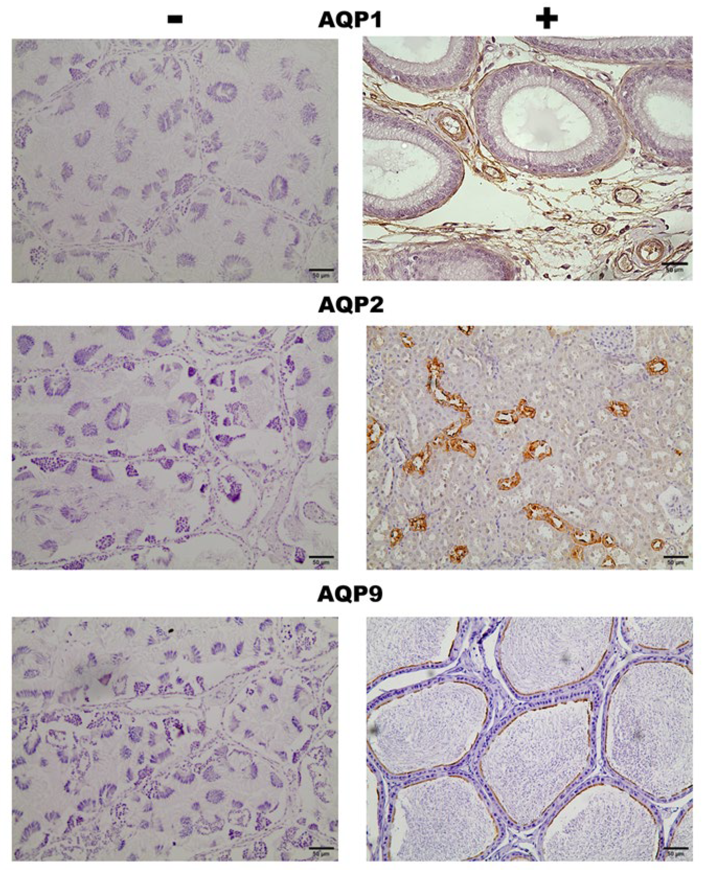 Preprints 111811 g0a1