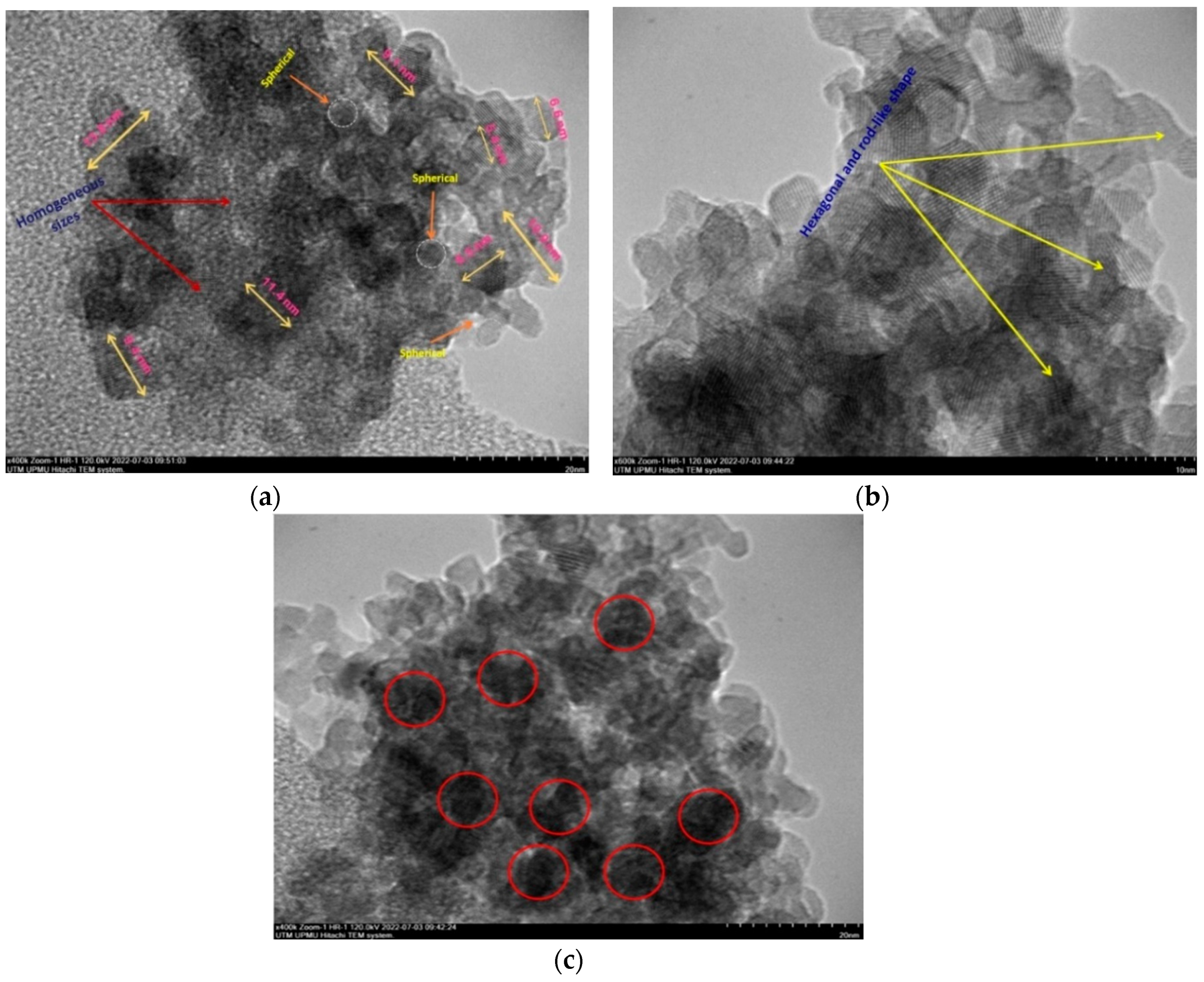 Preprints 69436 g005