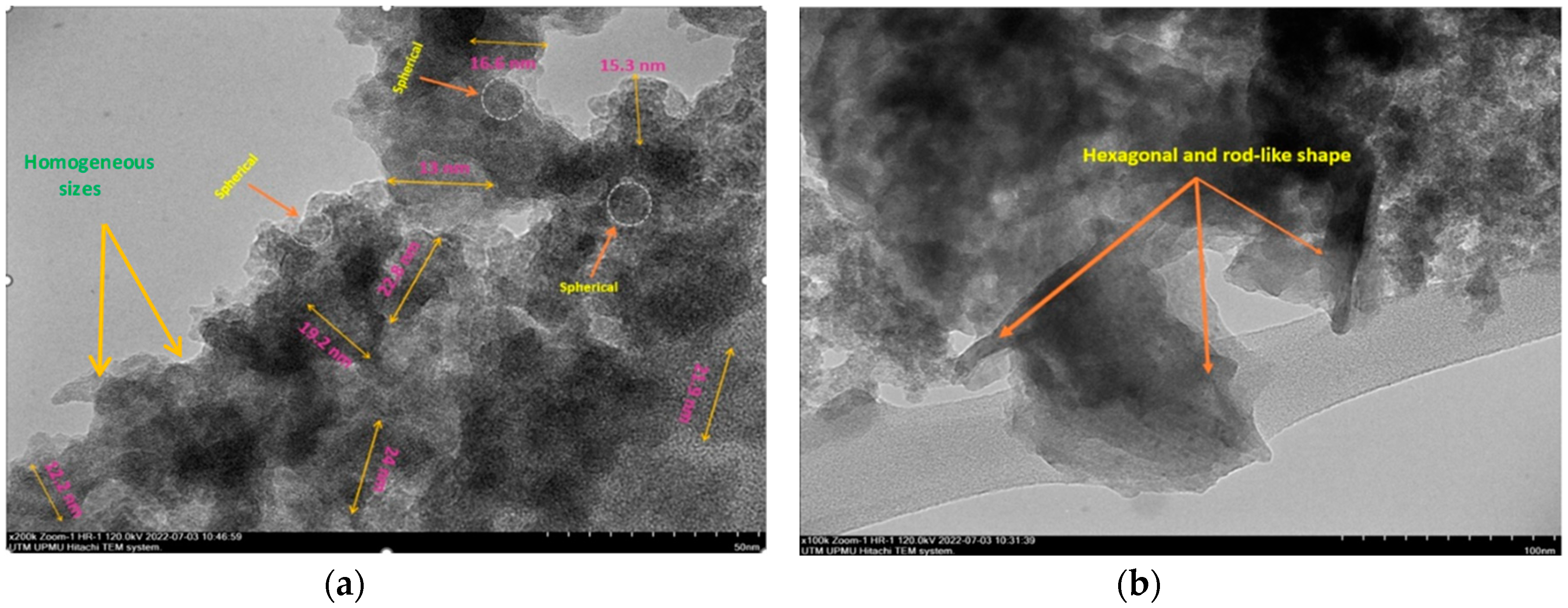 Preprints 69436 g006a